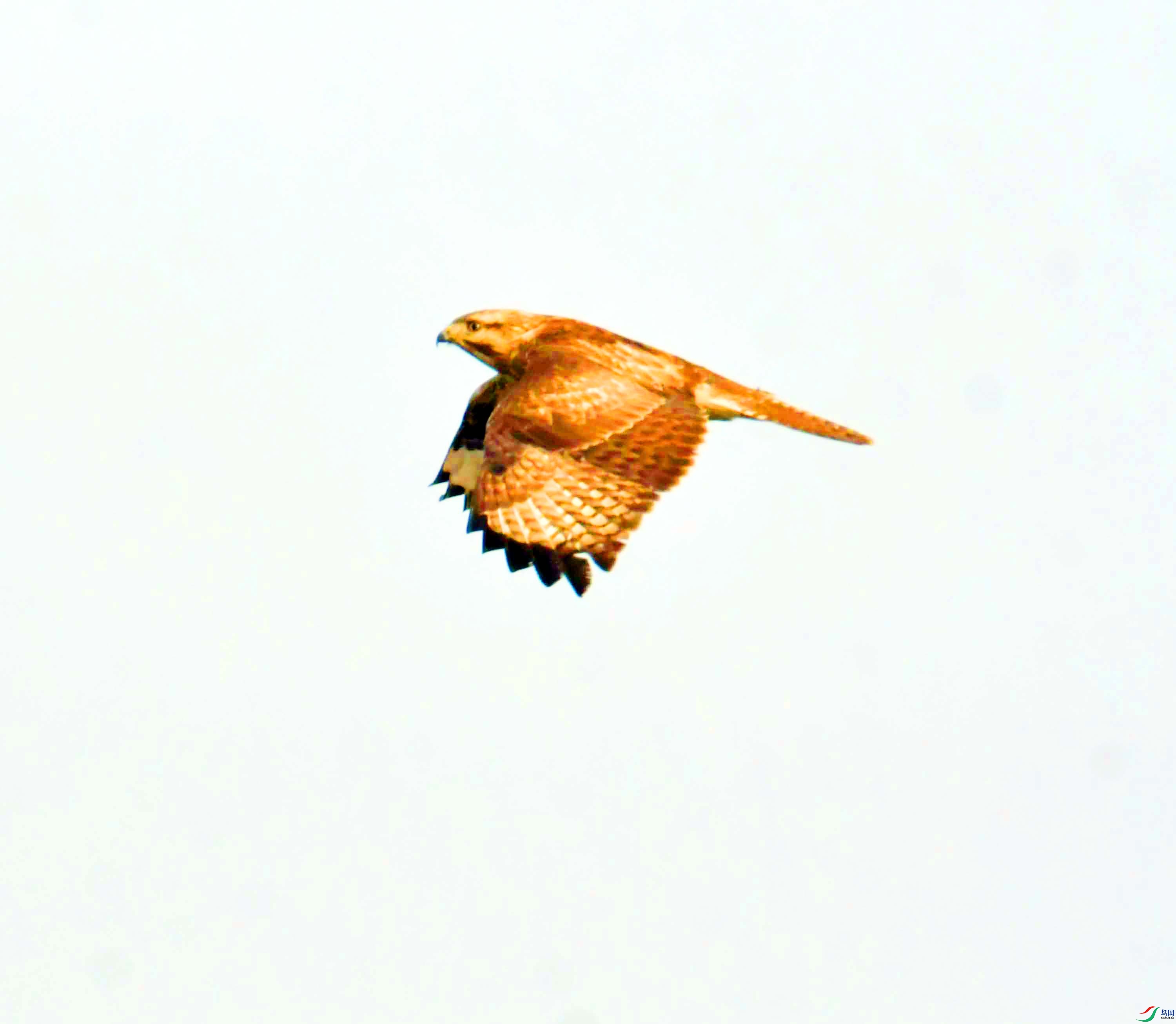 DSC_5157.JPG