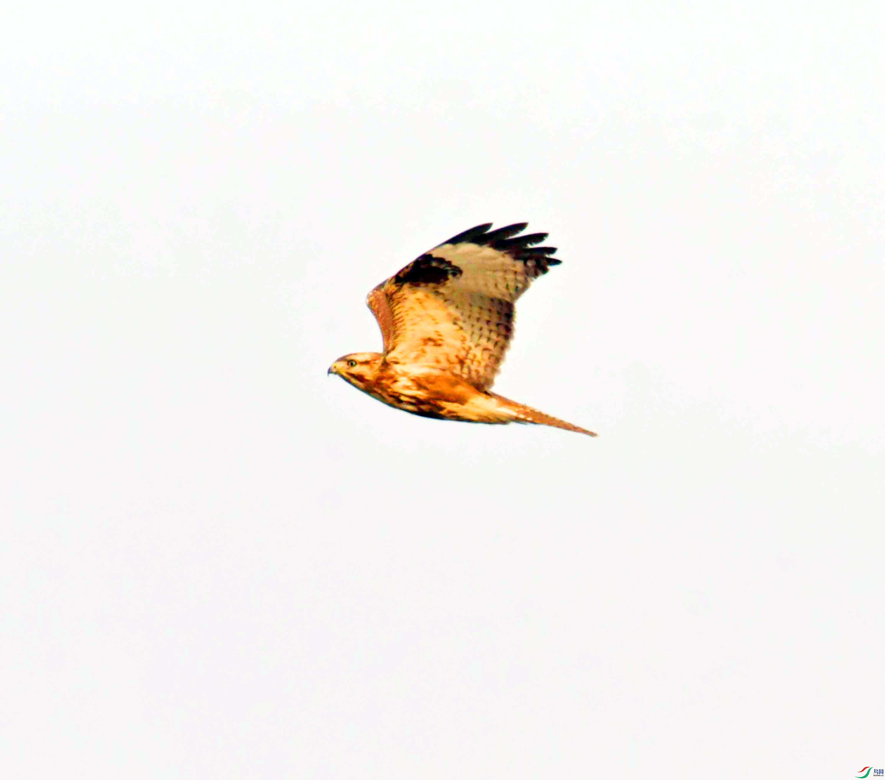 DSC_5158.JPG