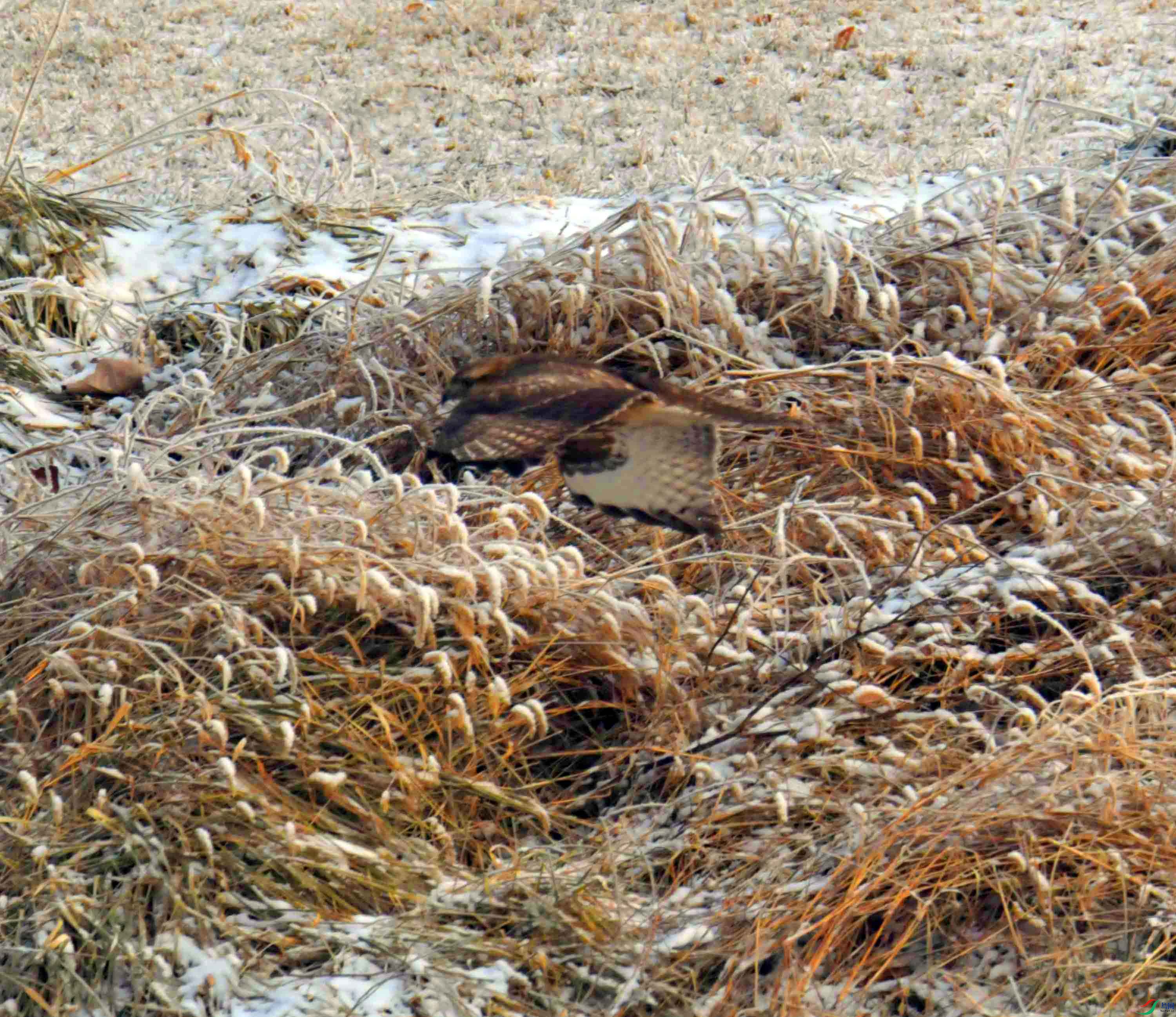 DSC_5198.JPG