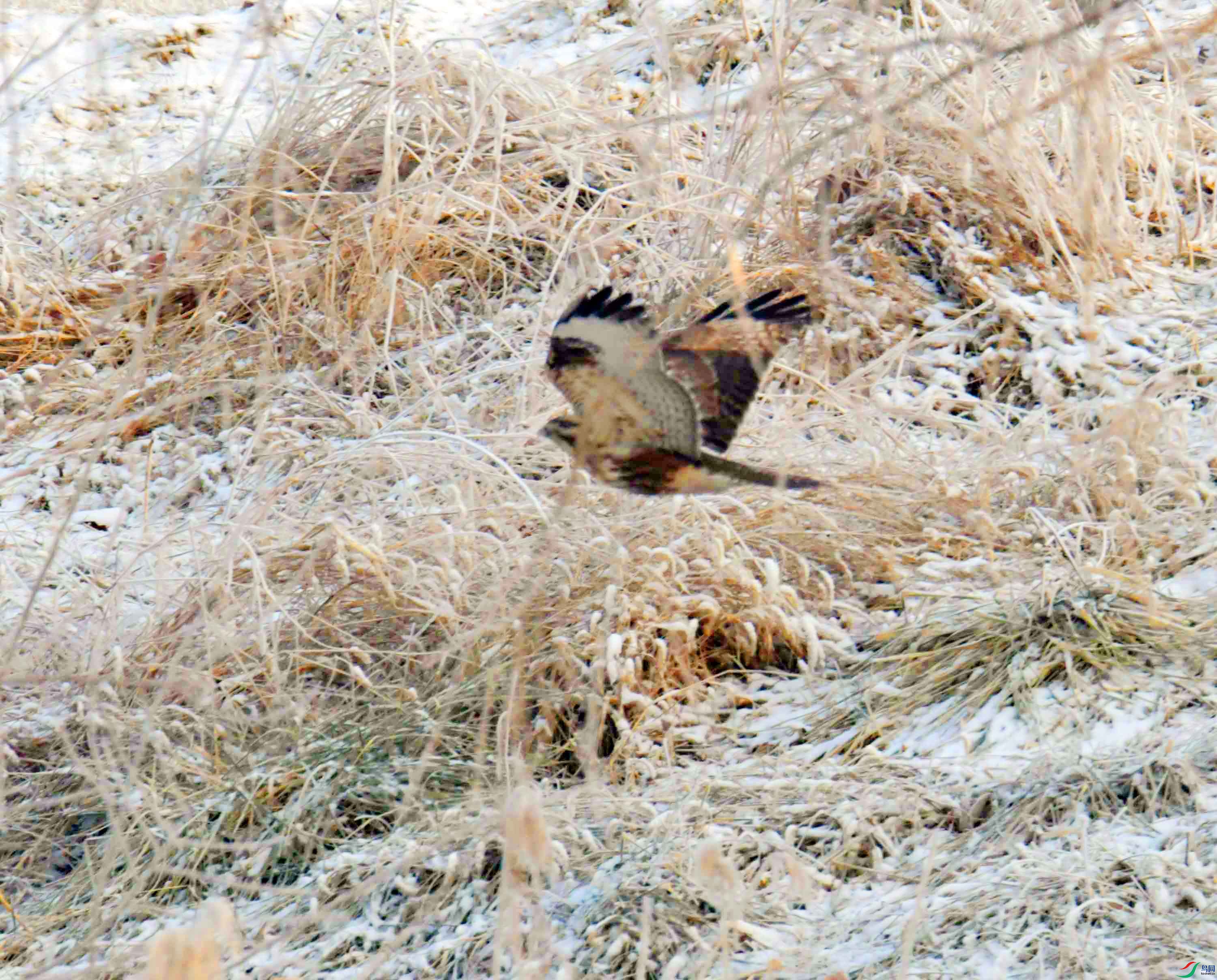 DSC_5202.JPG