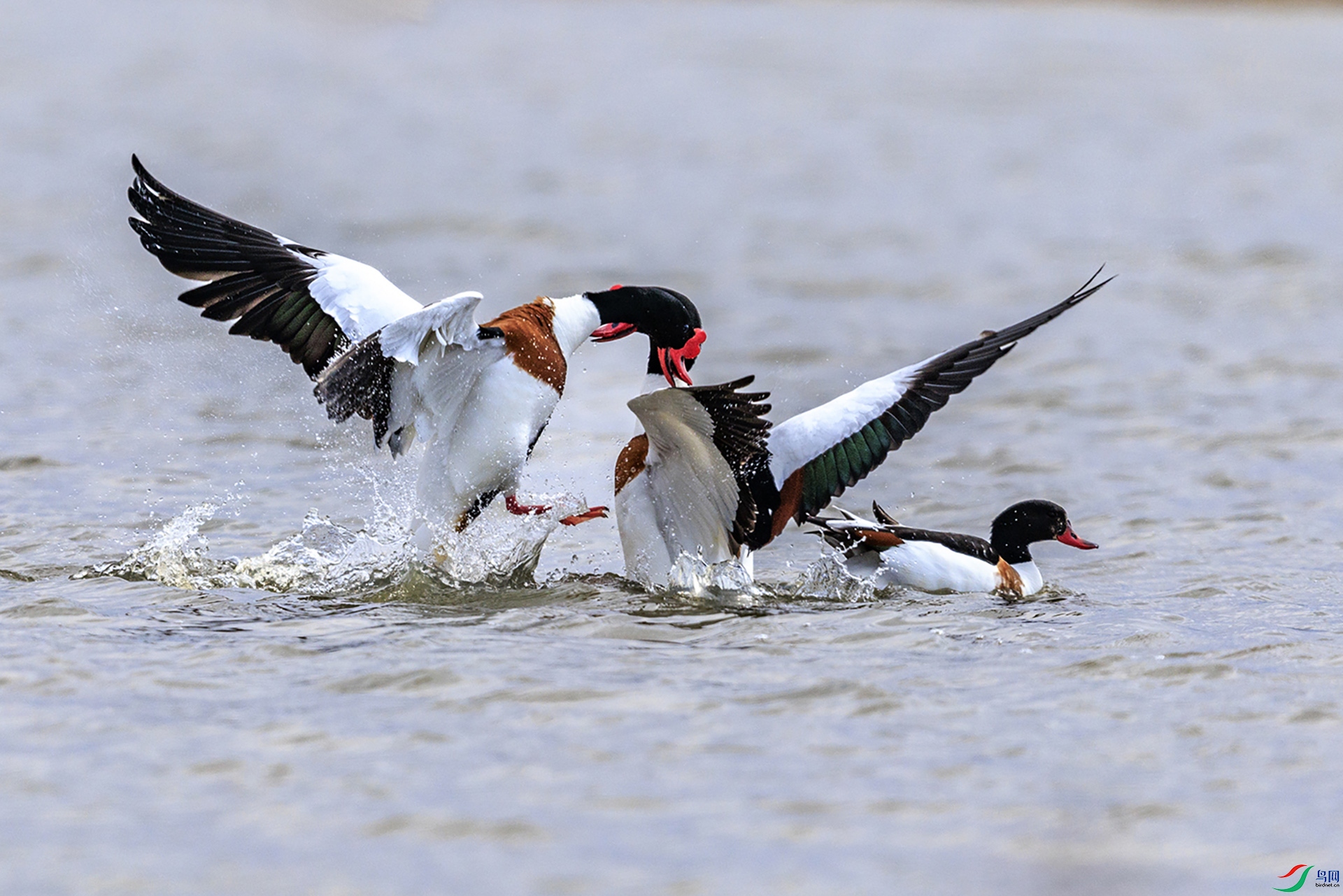 227A7148 ���� 2.jpg