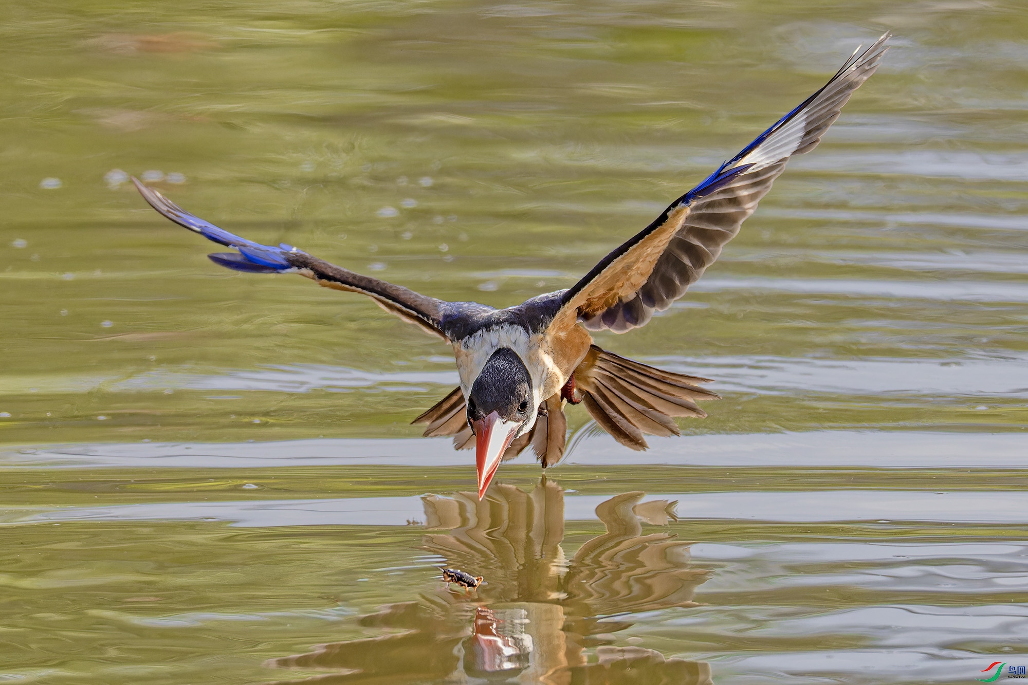 _97A8330-CR3 copy.jpg