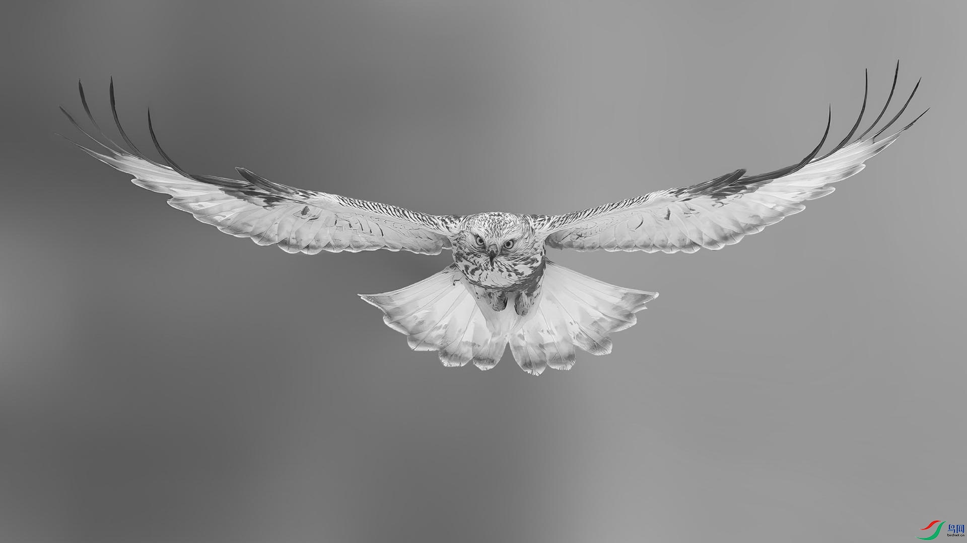 DSC04394 3 ���� 2.jpg