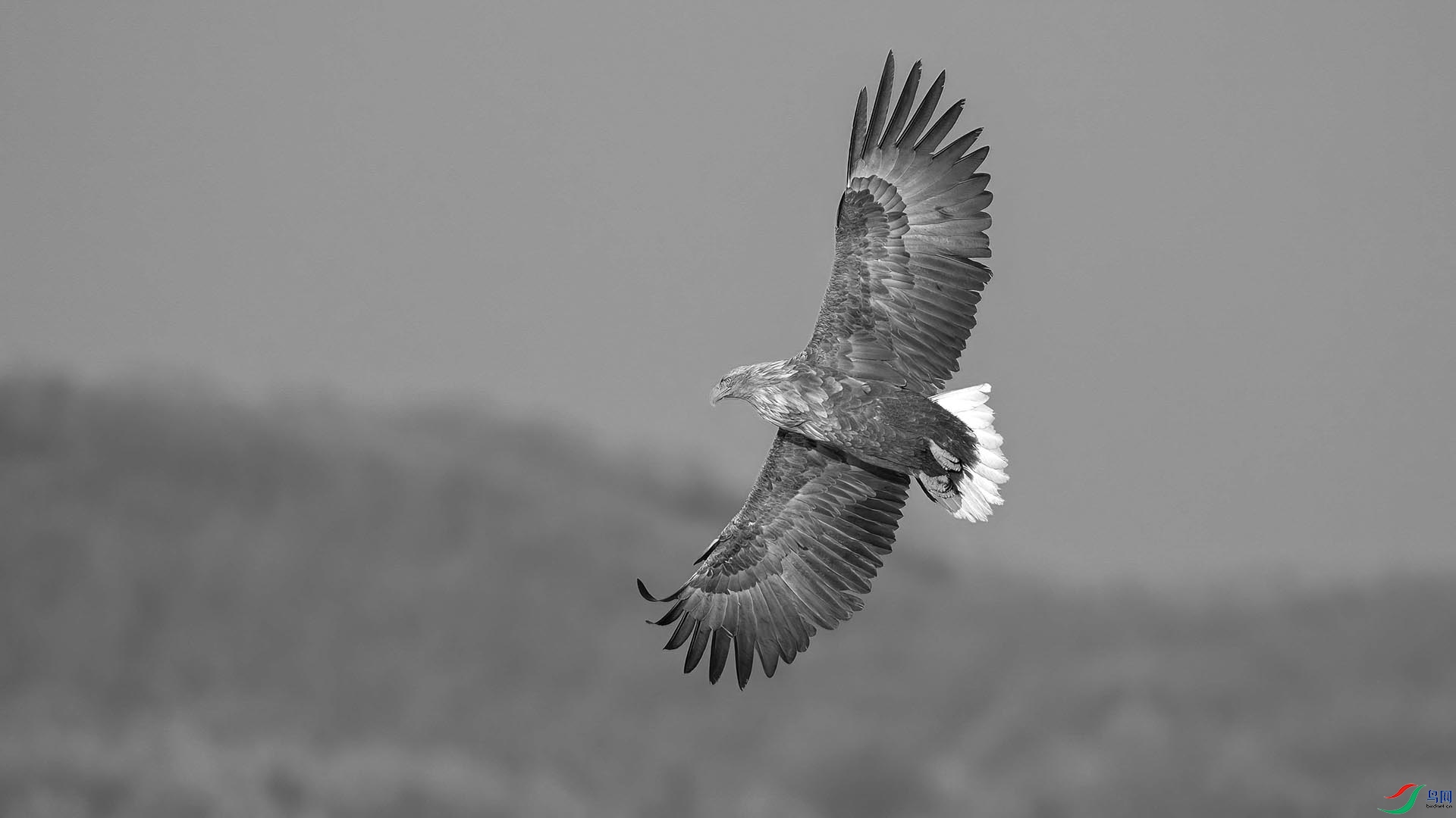 DSC06041 ���� 2.jpg