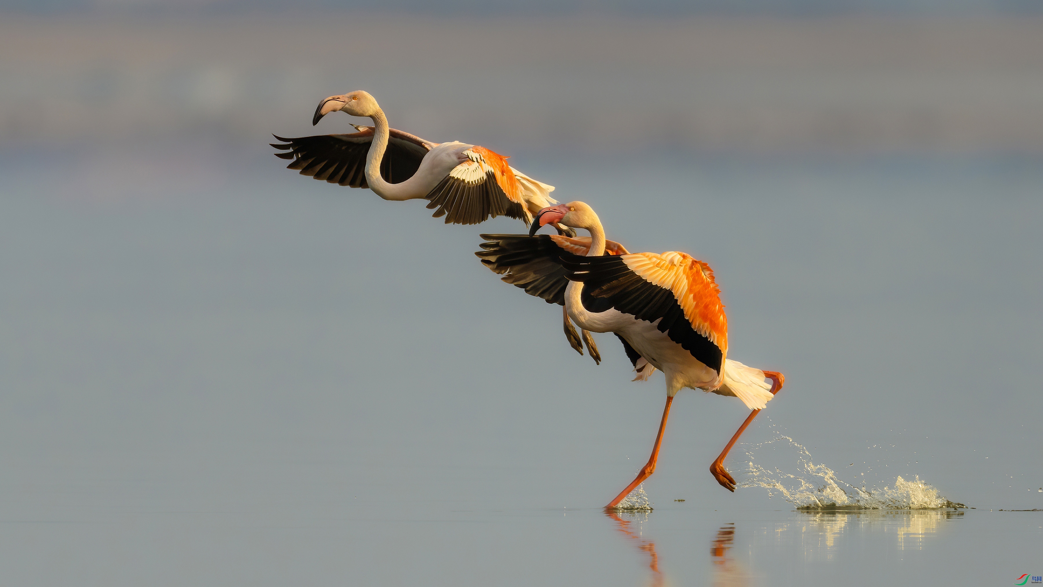 5.4����·��ʦ��Ʒ   ���� ��ף���ٻ����������.jpg