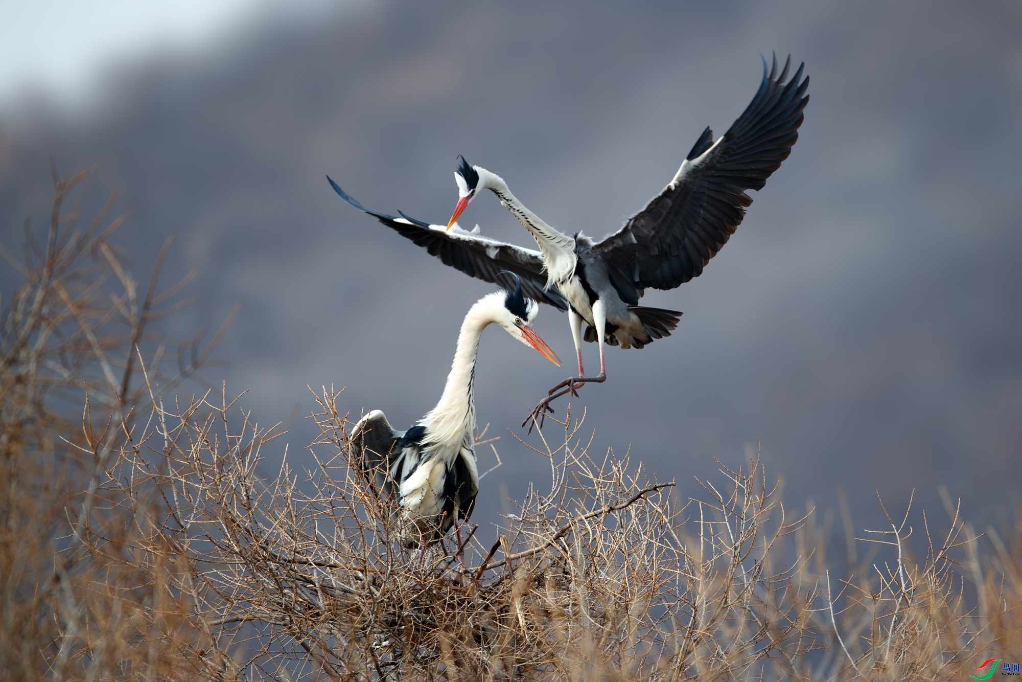 5.7ѧ����ʦ��Ʒ   ������Ũ ��ף���ٻ��Ա������.jpg