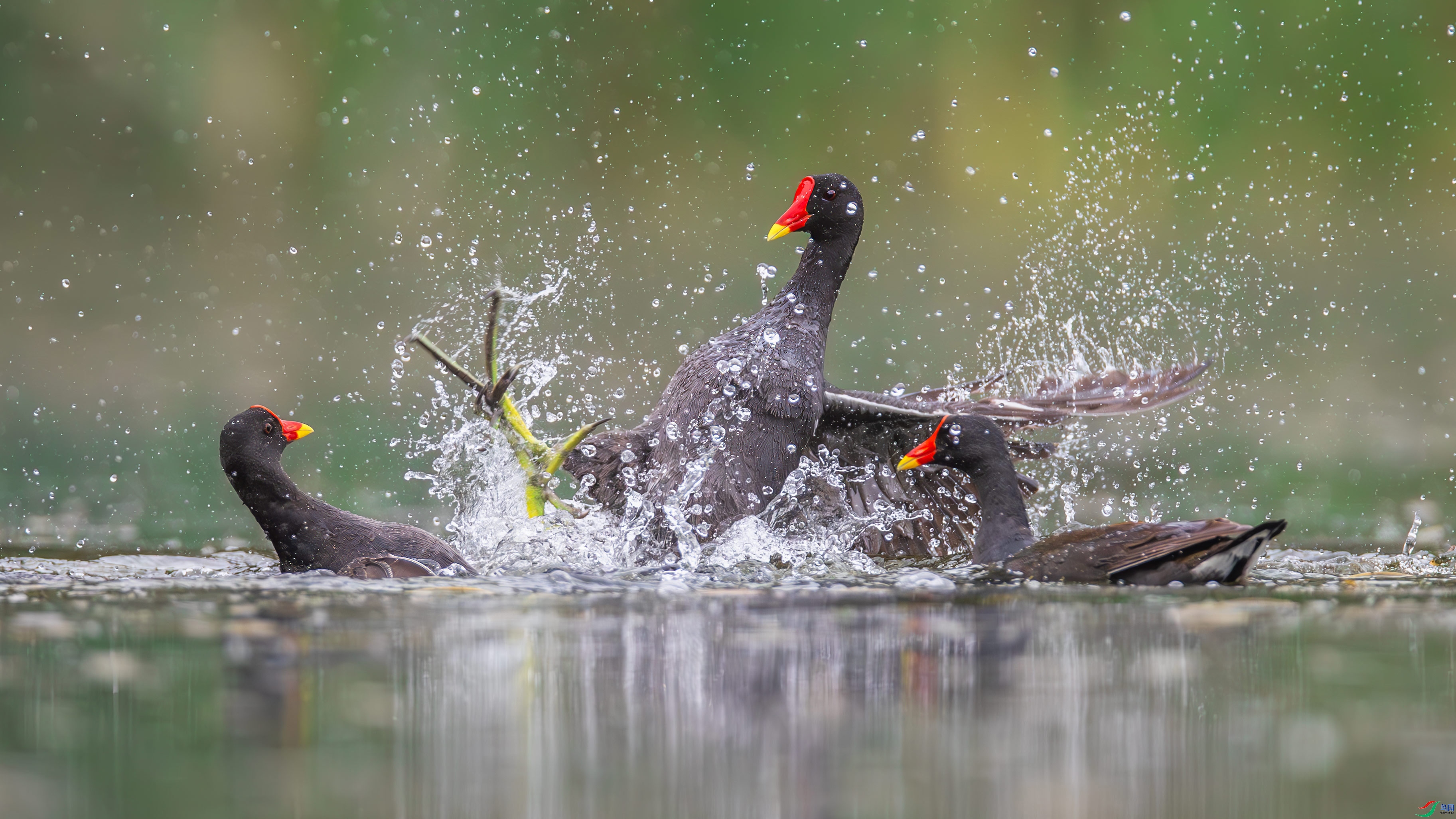 5.8��������ʦ��Ʒ   Ϊ����ս ��ף���ٻ���Ӱʦ������.jpg