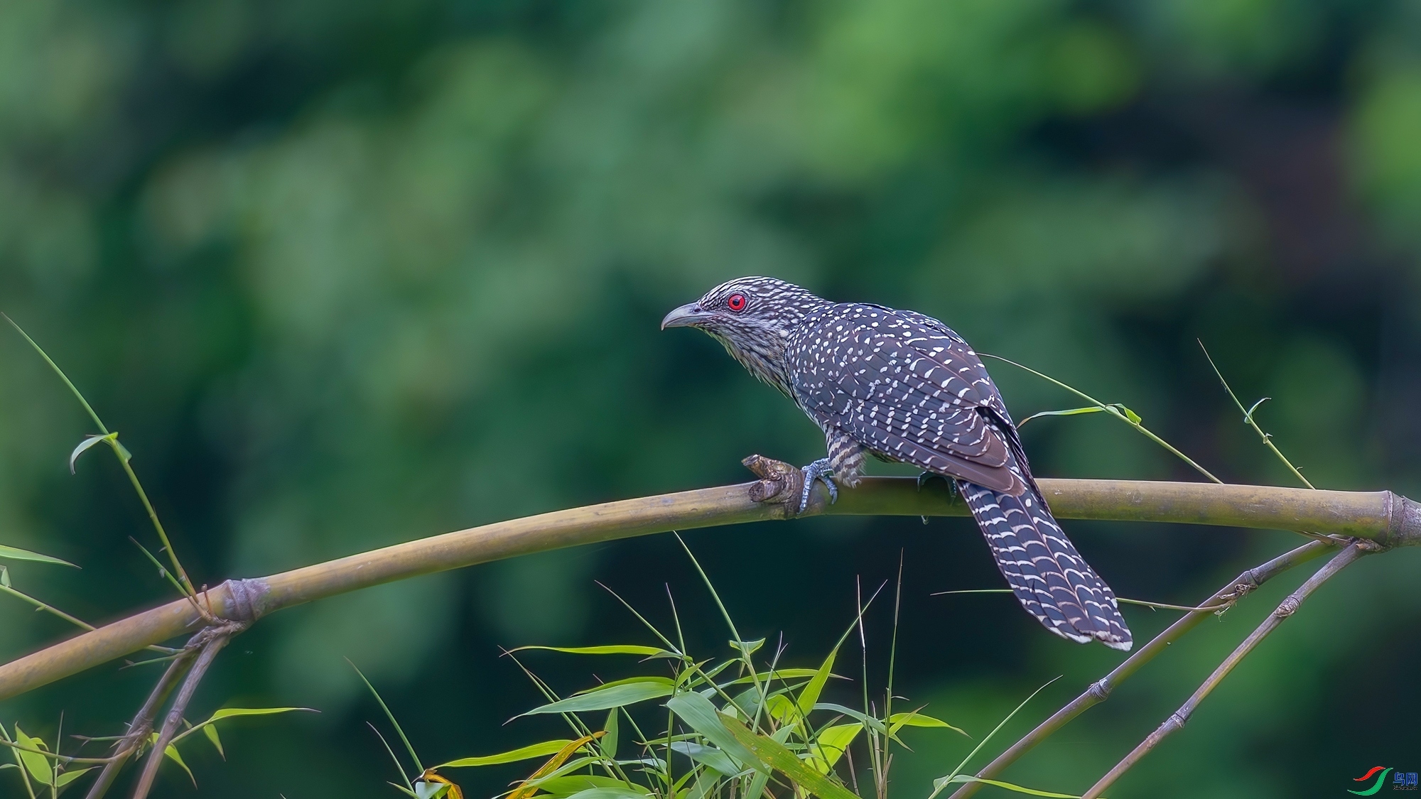 5.8��������ʦ��Ʒ   ��顪�������û ��ף���ٻ��Ա������.jpg