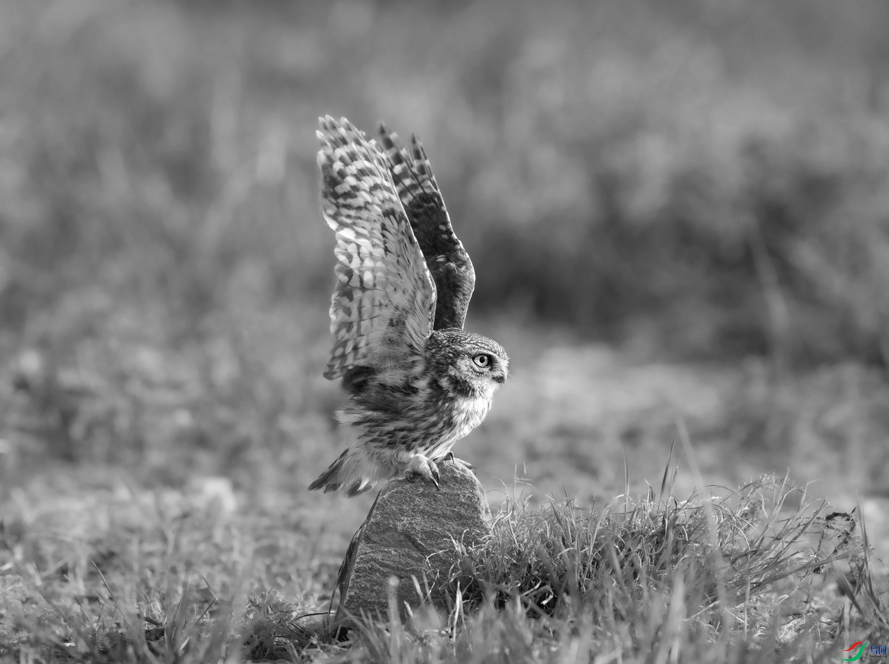 DSC03009 ���� 2_����.jpg