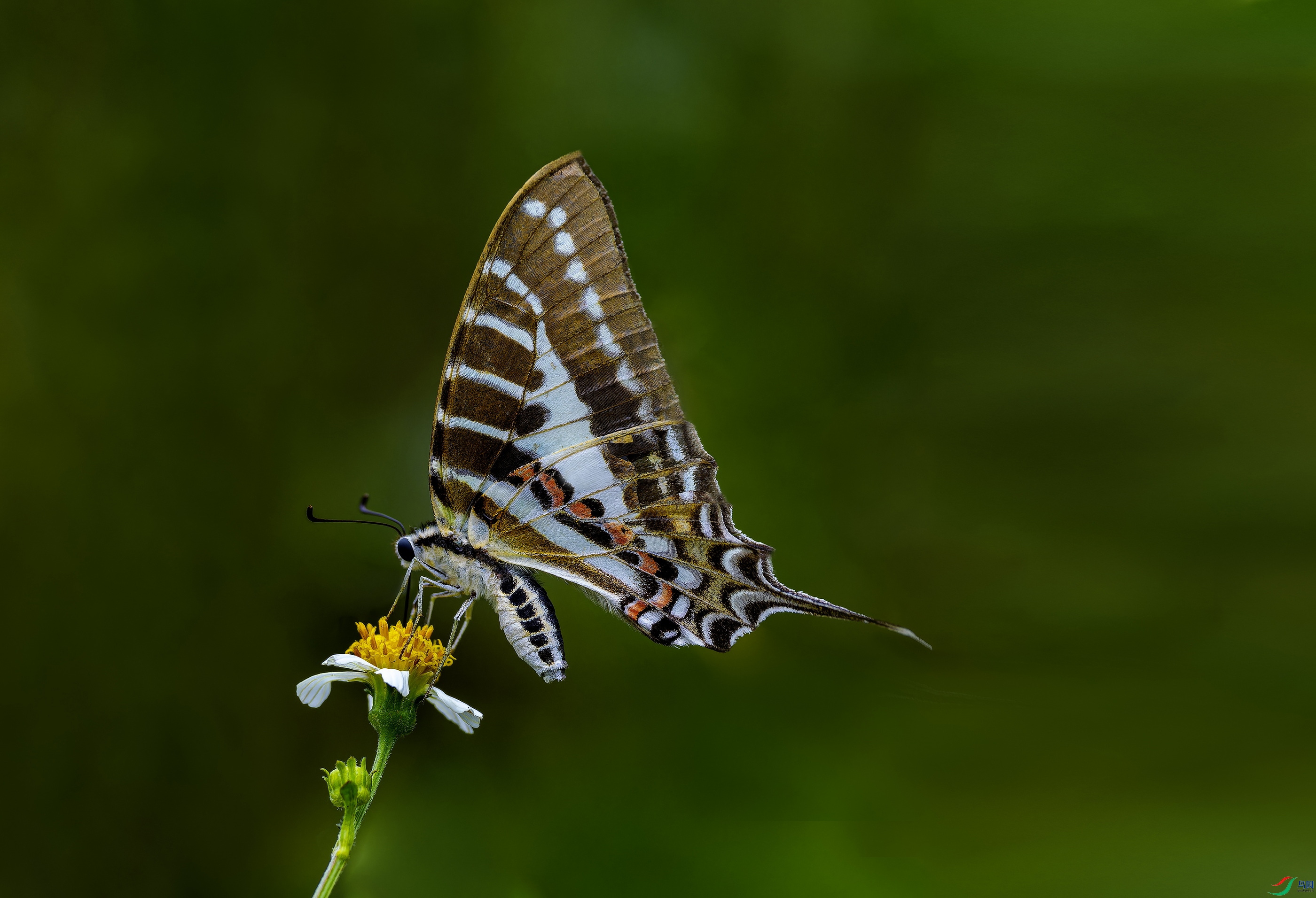 ����̷�� -01.jpg