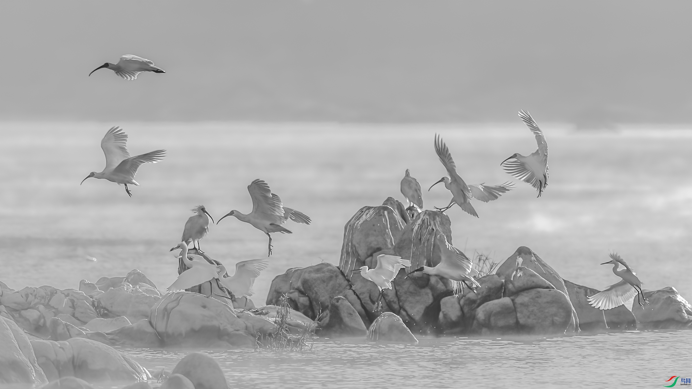 AE1V6322 ����1.jpg