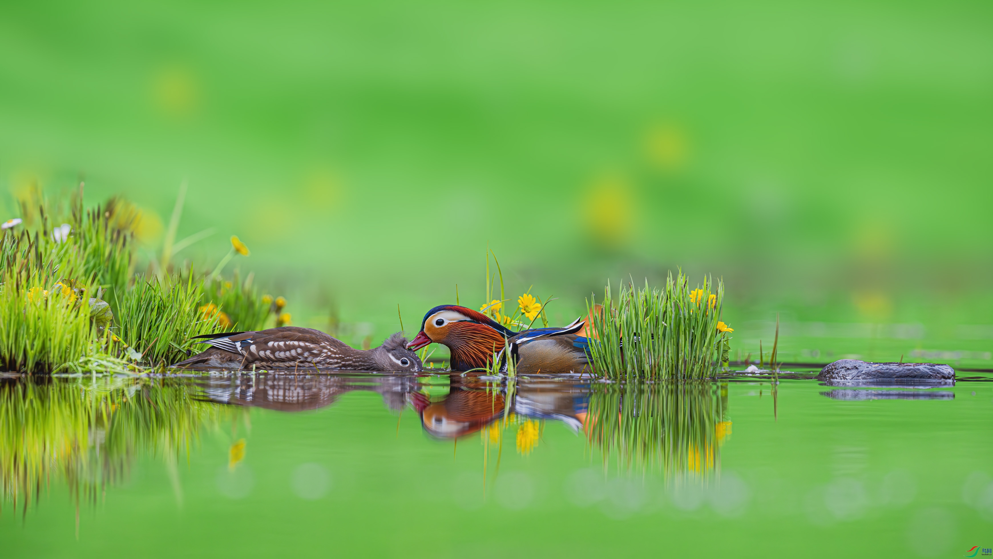 ����ʱ��