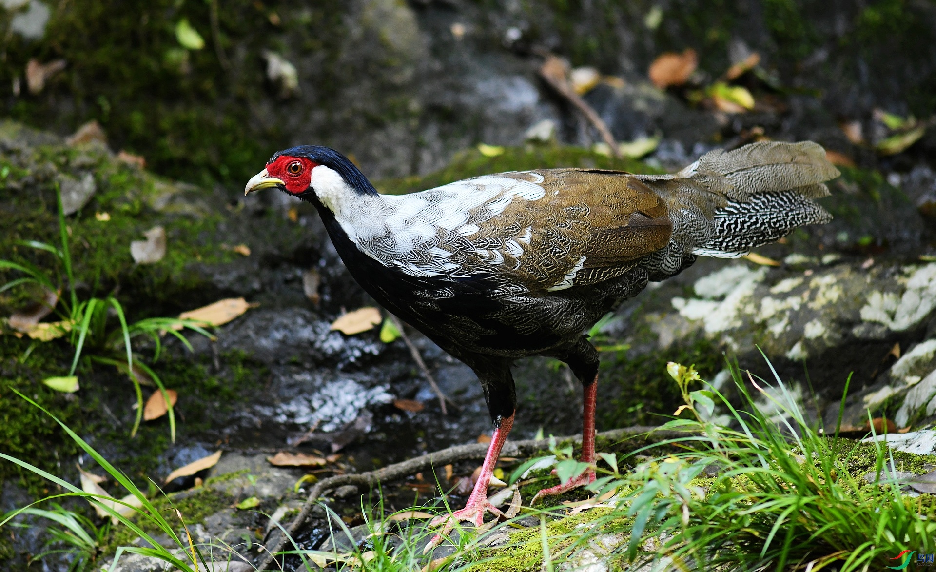 DSC_3014.jpg