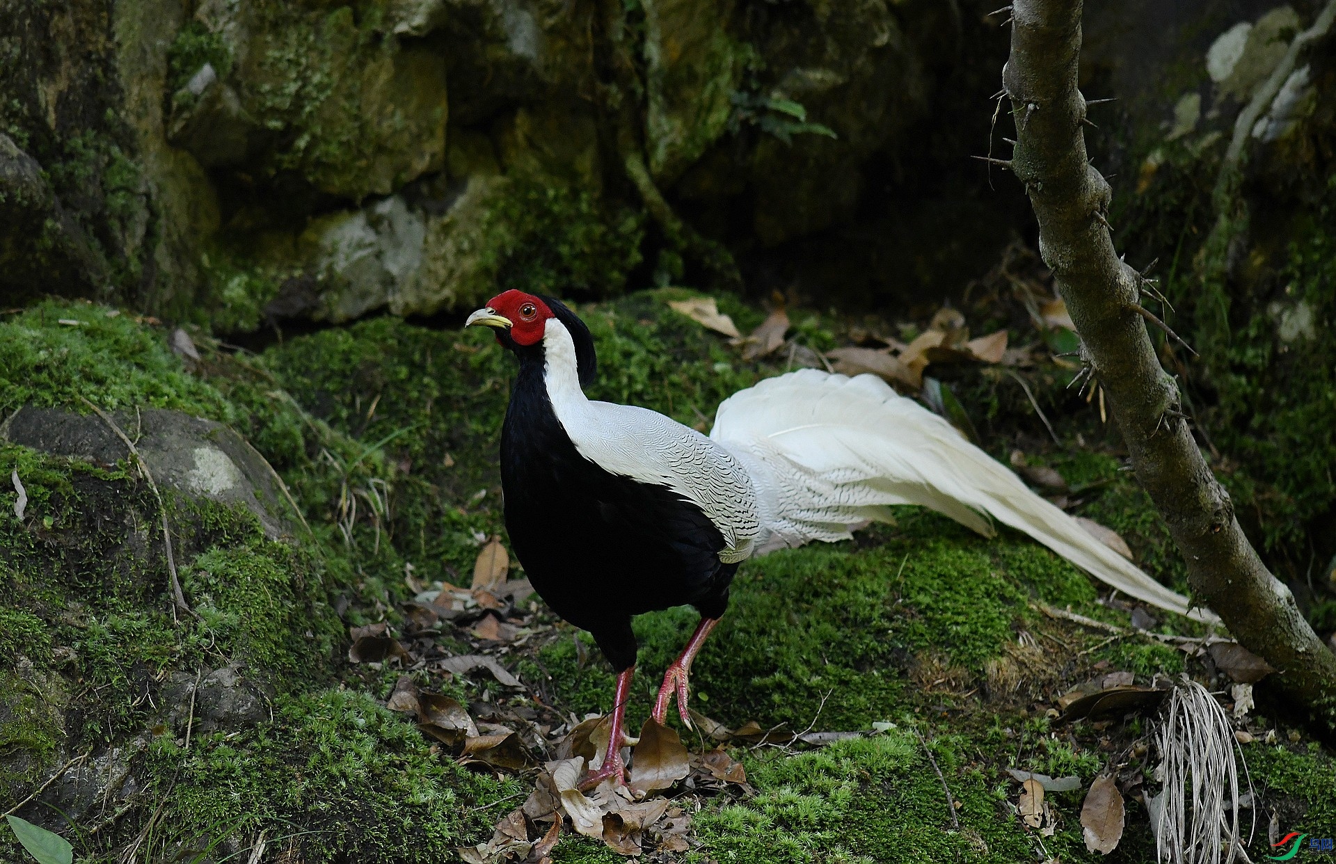 DSC_2647.jpg