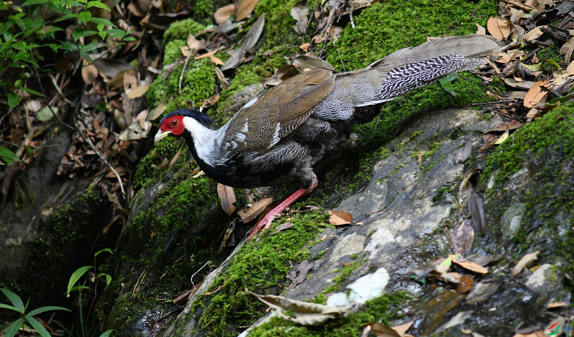 DSC_3032.jpg