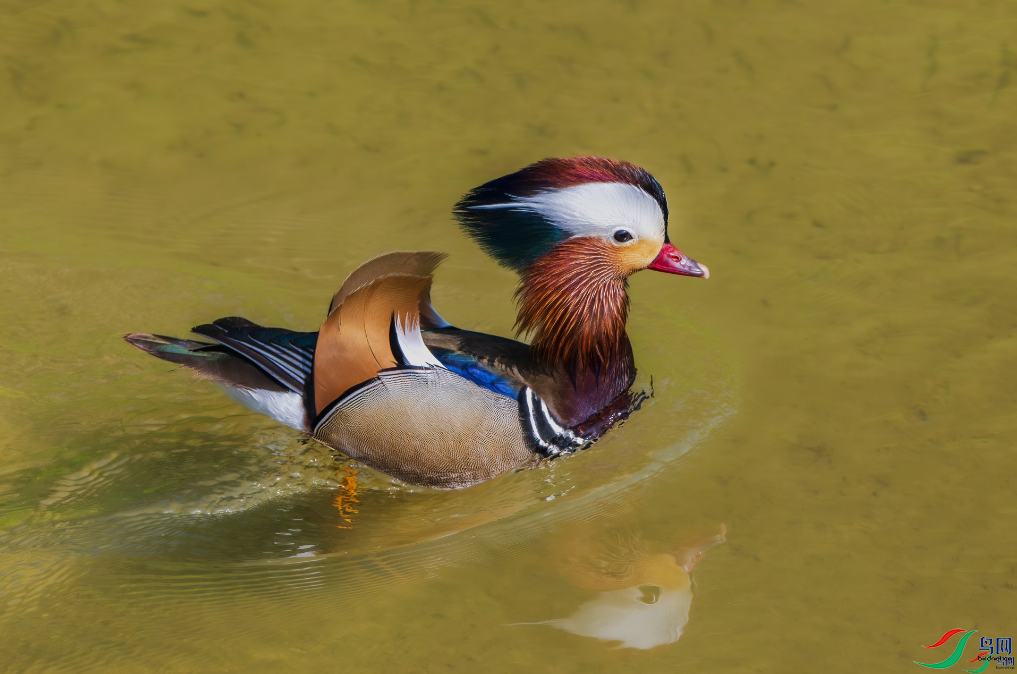 ����Ϫ���������ٻ����Ѿ�������ɽ���� 12.png