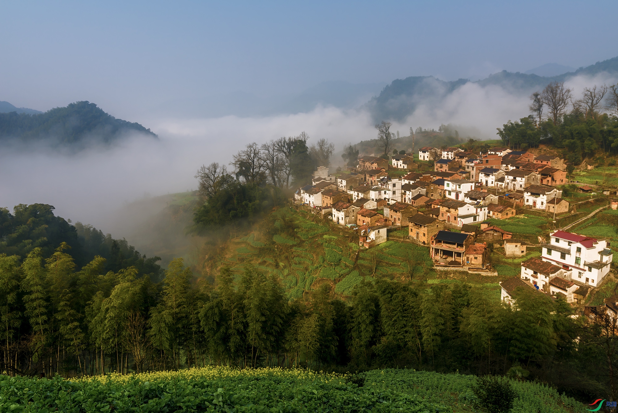 DSC_7064a ����.jpg