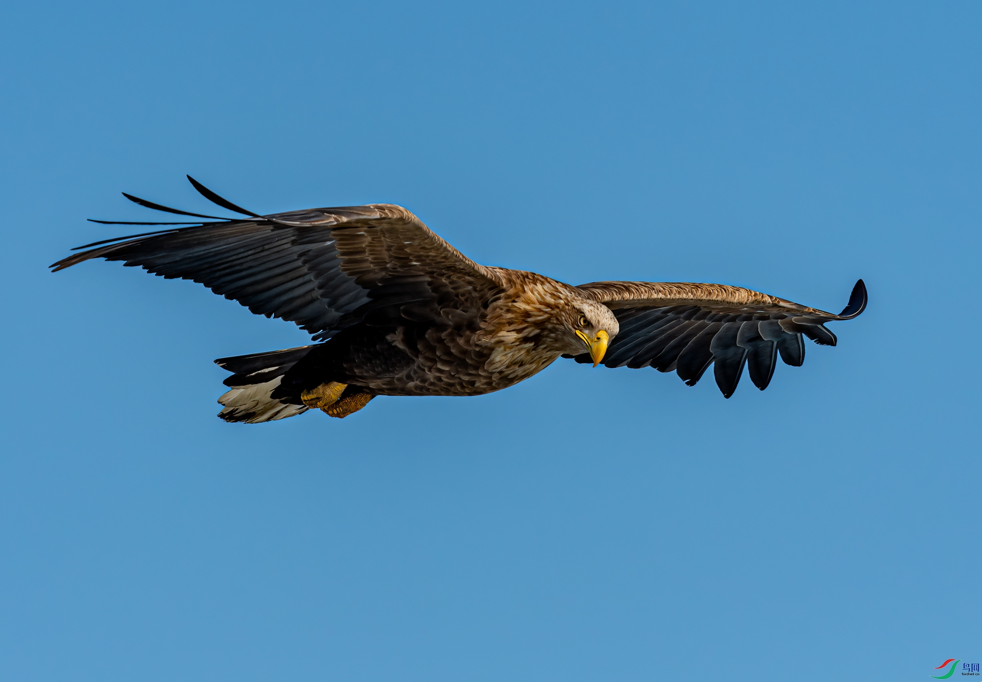 _DSC2496-11.jpg