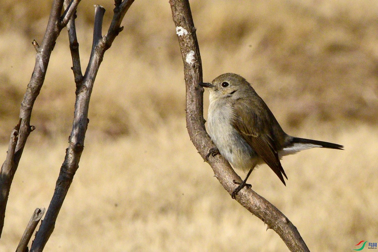 DSC_1840.JPG
