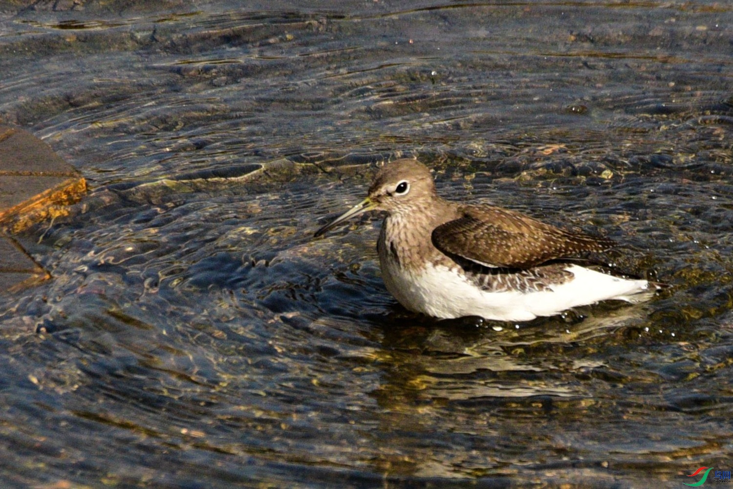 DSC_3258.JPG