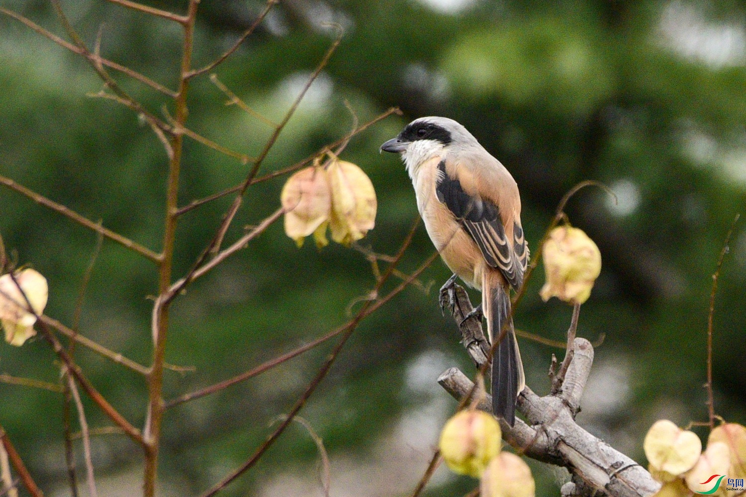 DSC_3792.JPG