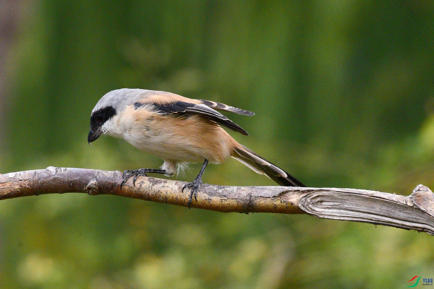 DSC_3799.JPG