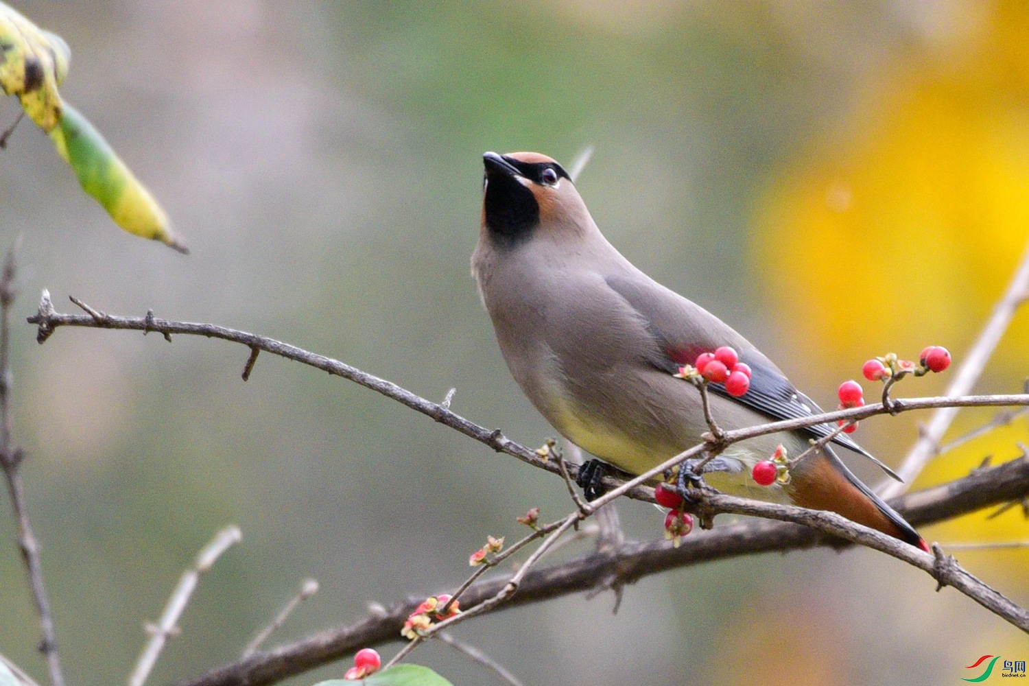 DSC_5906.JPG
