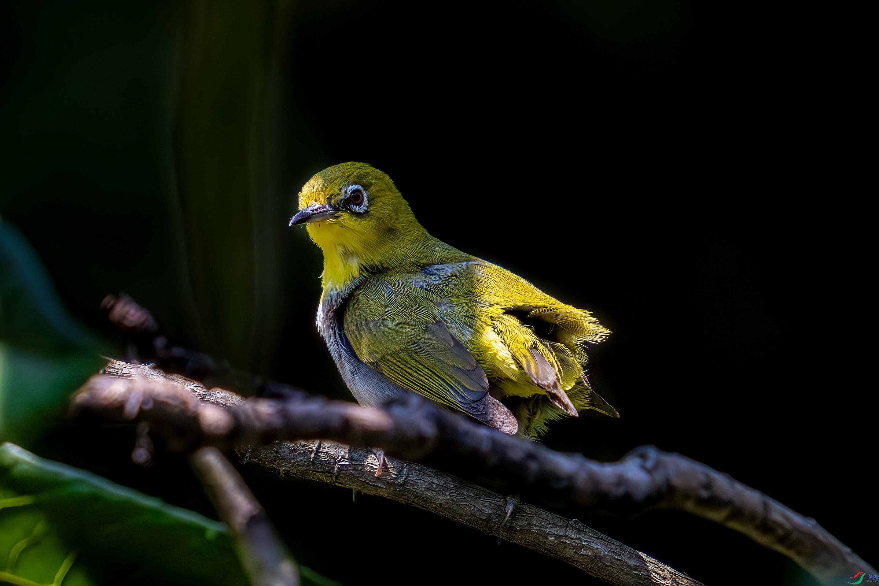 _DSC3782-.jpg
