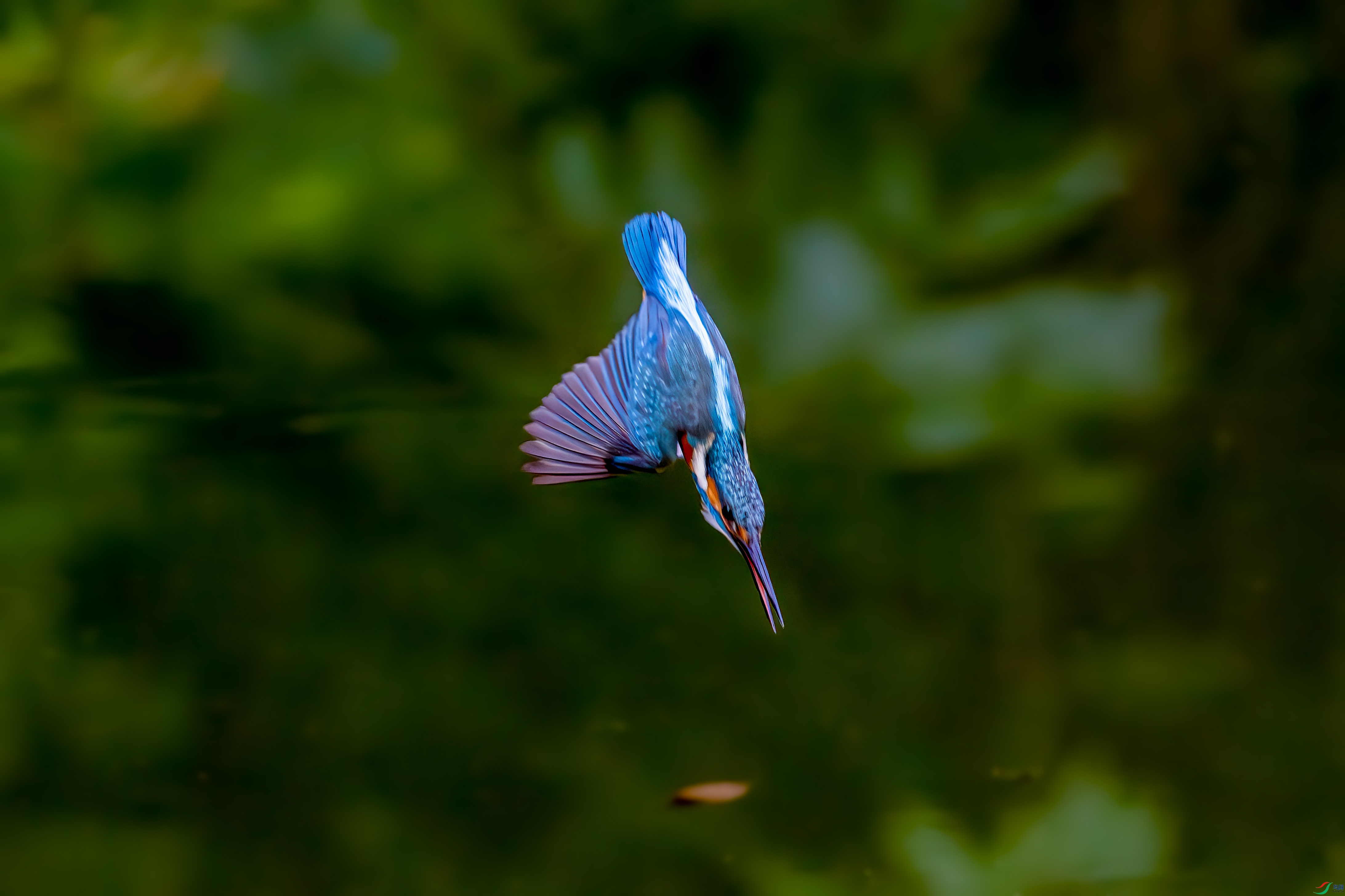 _DSC3405.jpg