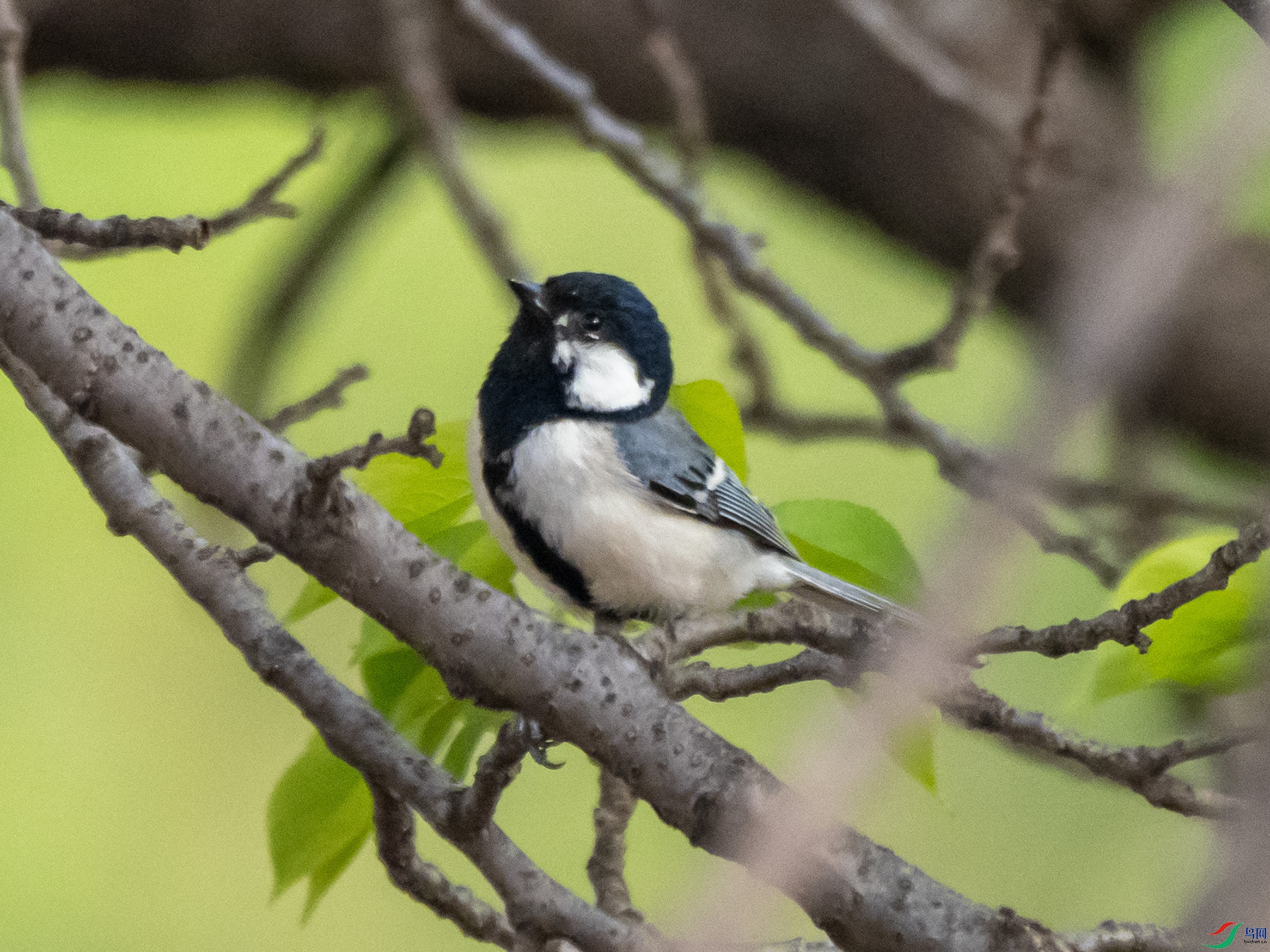 P4250446.jpg