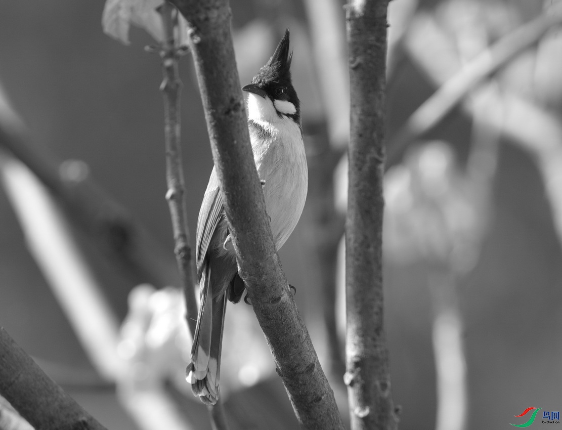 _DSC5943.jpgn,_������С.jpg