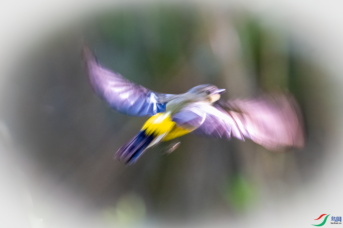 DSC_0401.png