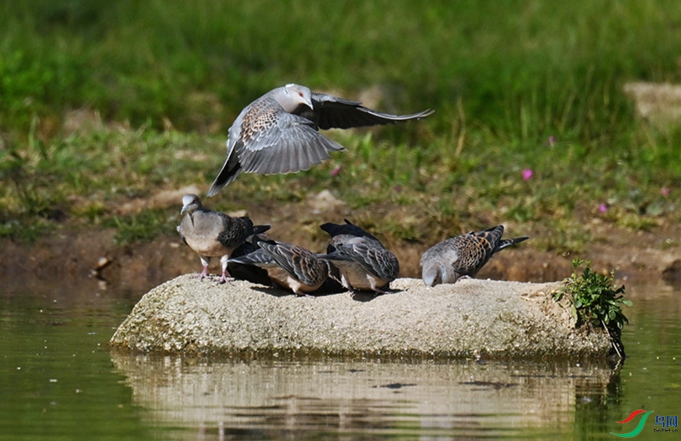 �����ˡ�