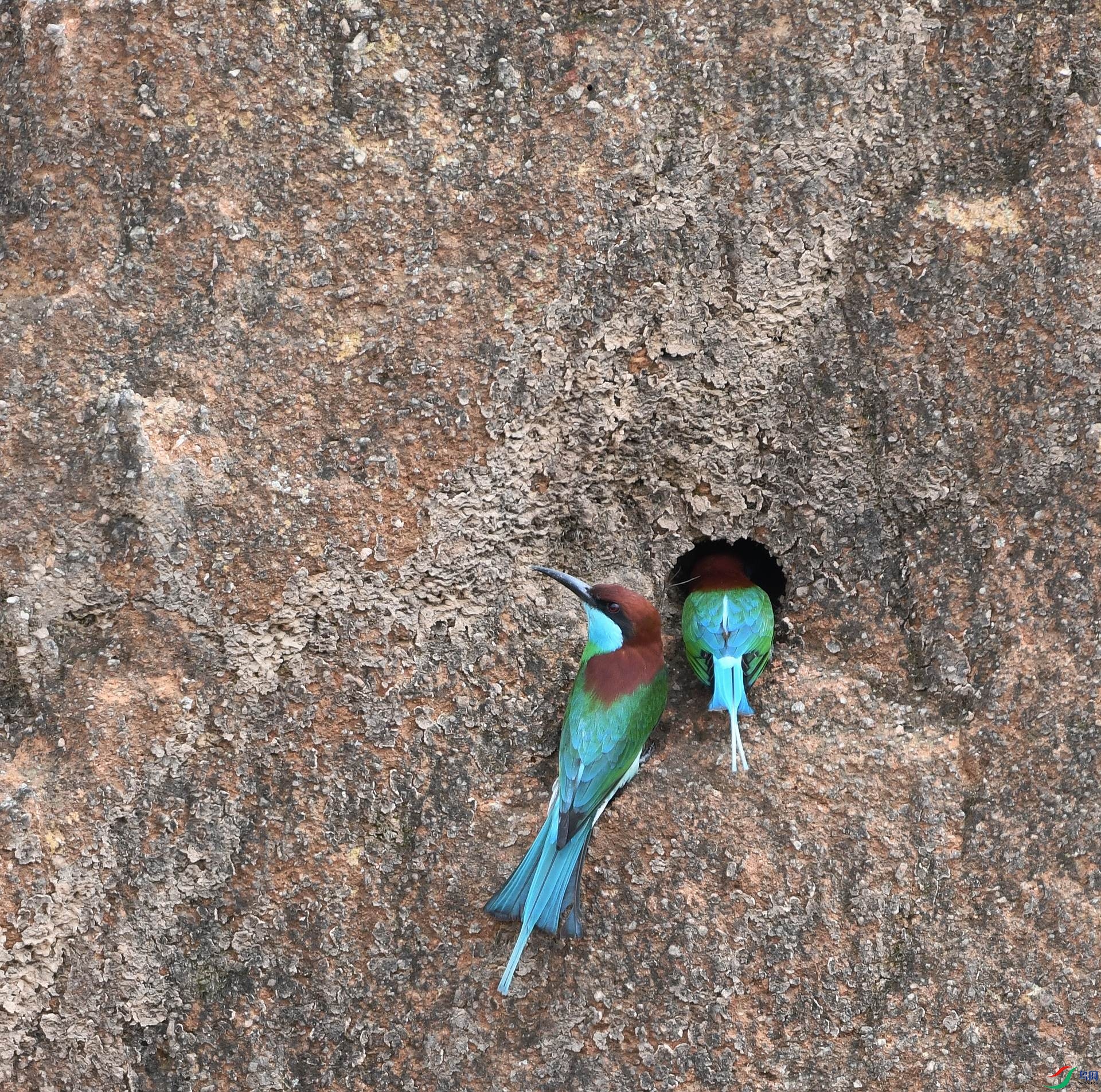 DSC_2019.jpg