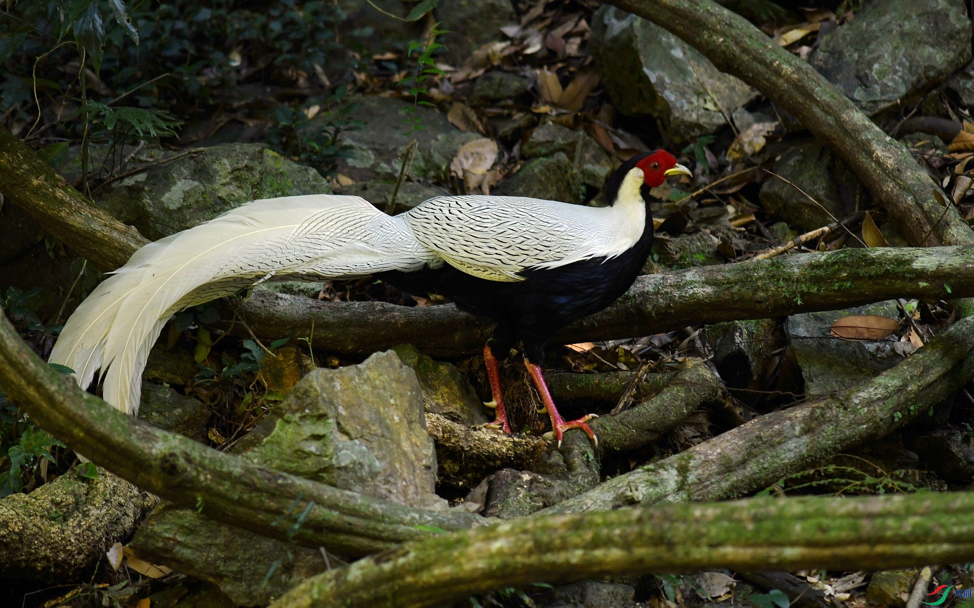 DSC_2553.jpg