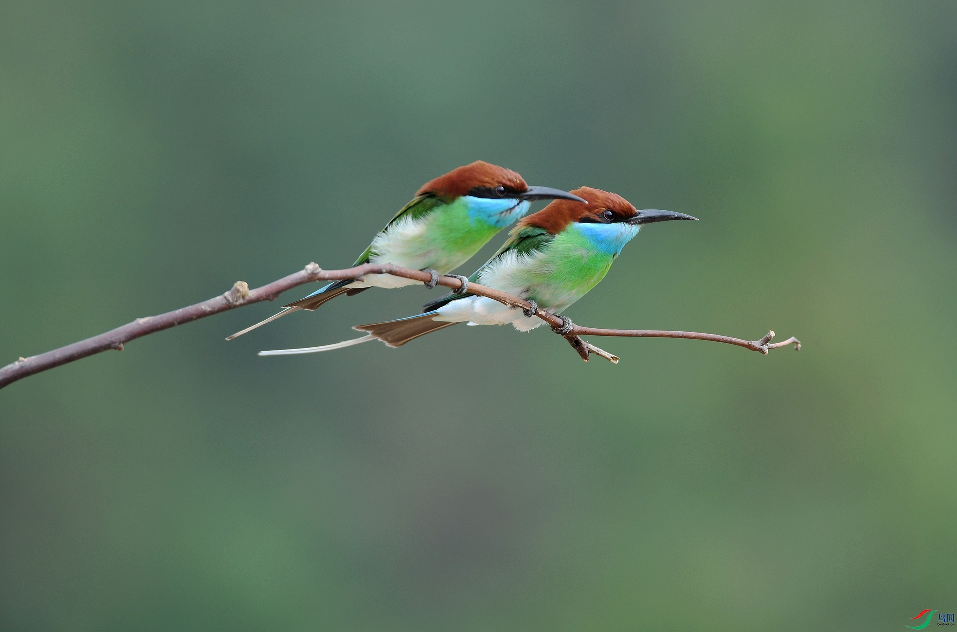 DSC_1230.jpg