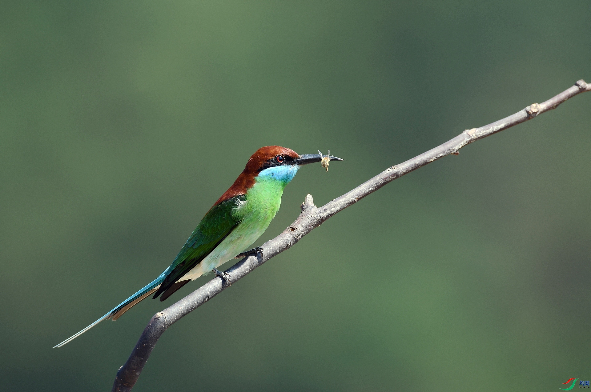 DSC_2037.jpg
