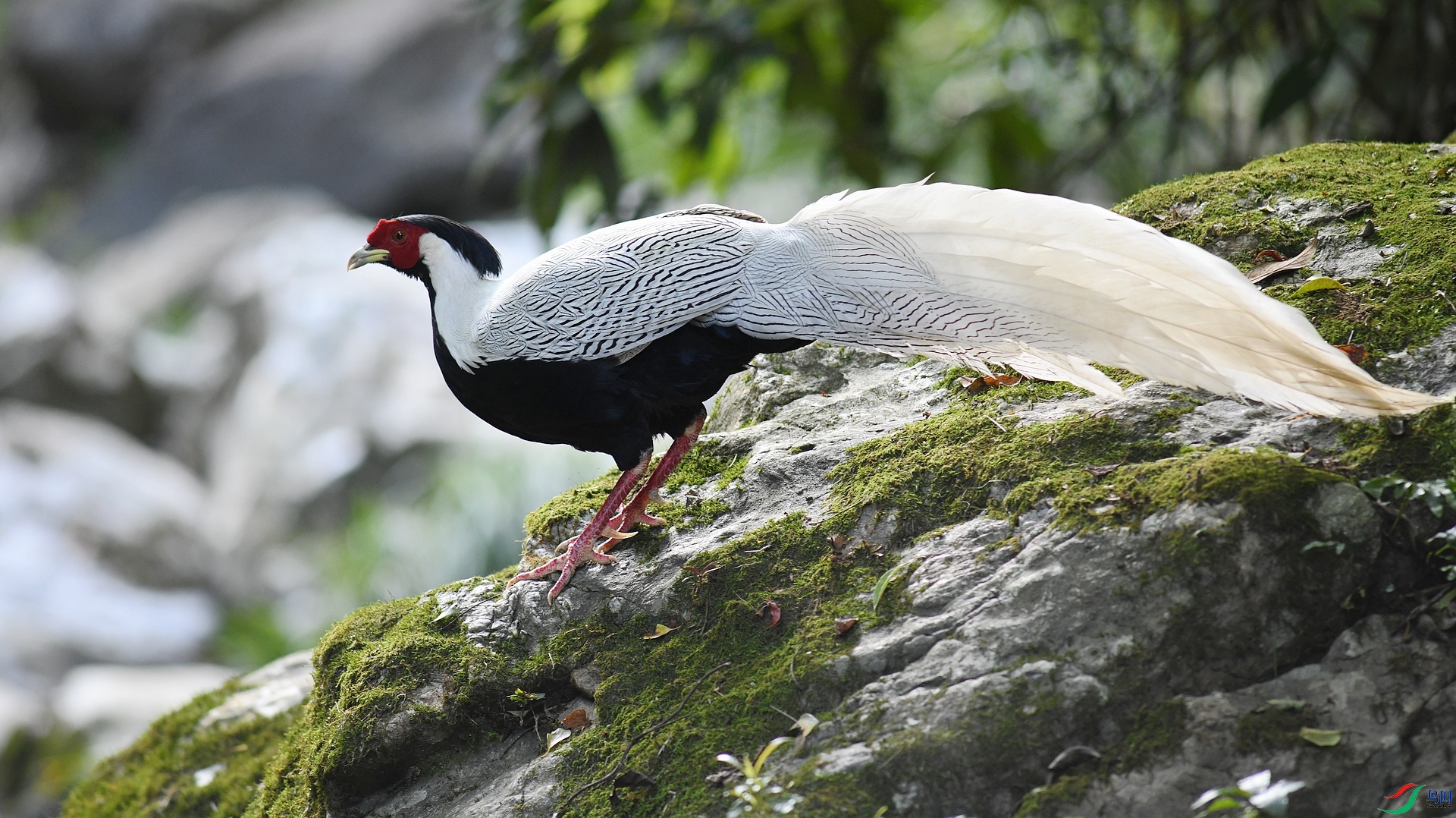DSC_2621.jpg