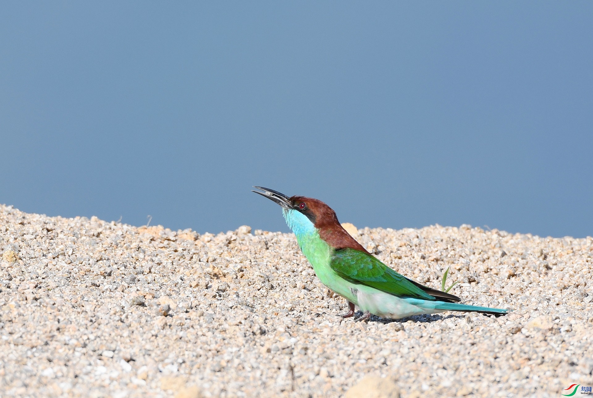 DSC_4717.jpg