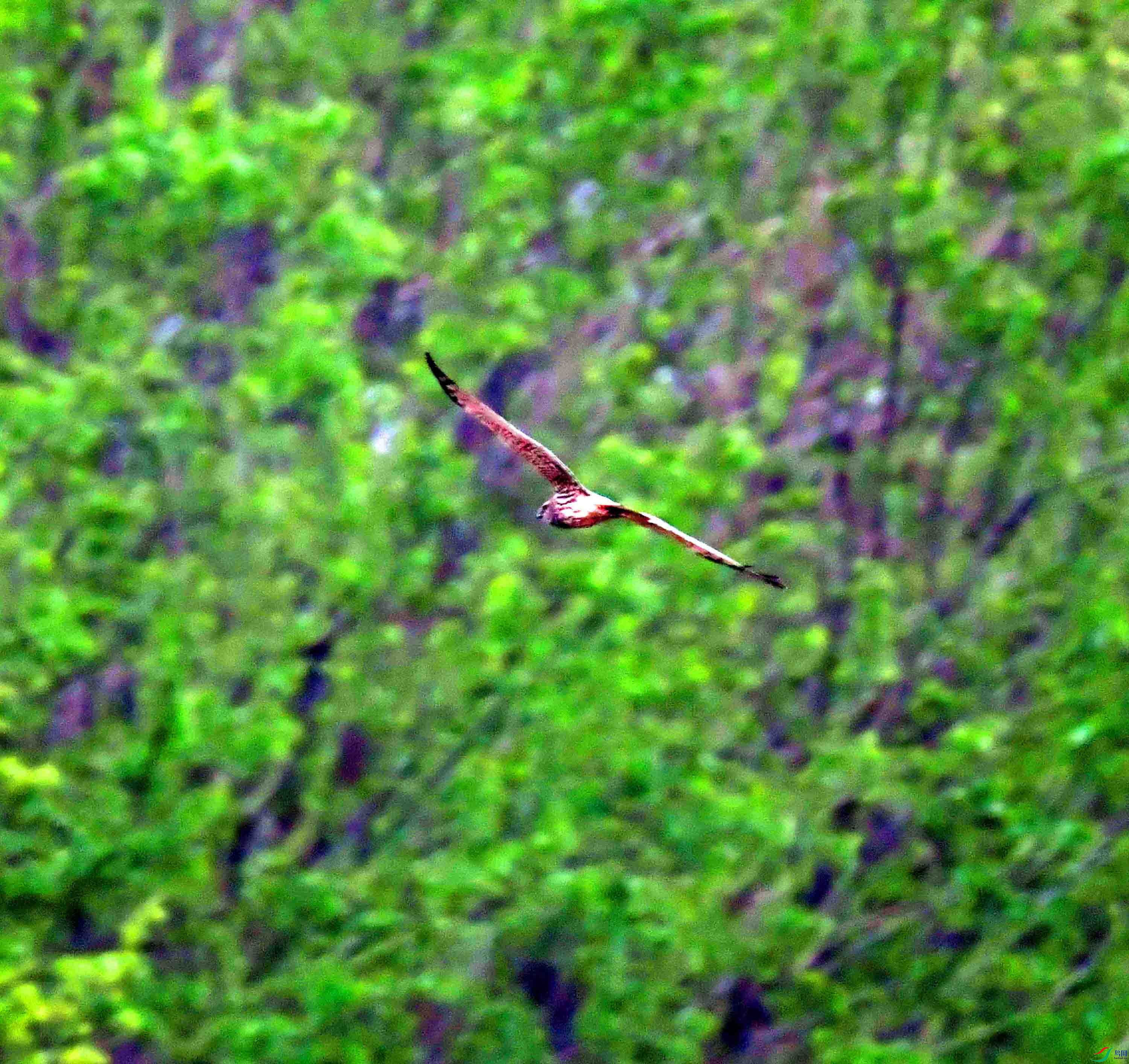 DSC_4087.JPG