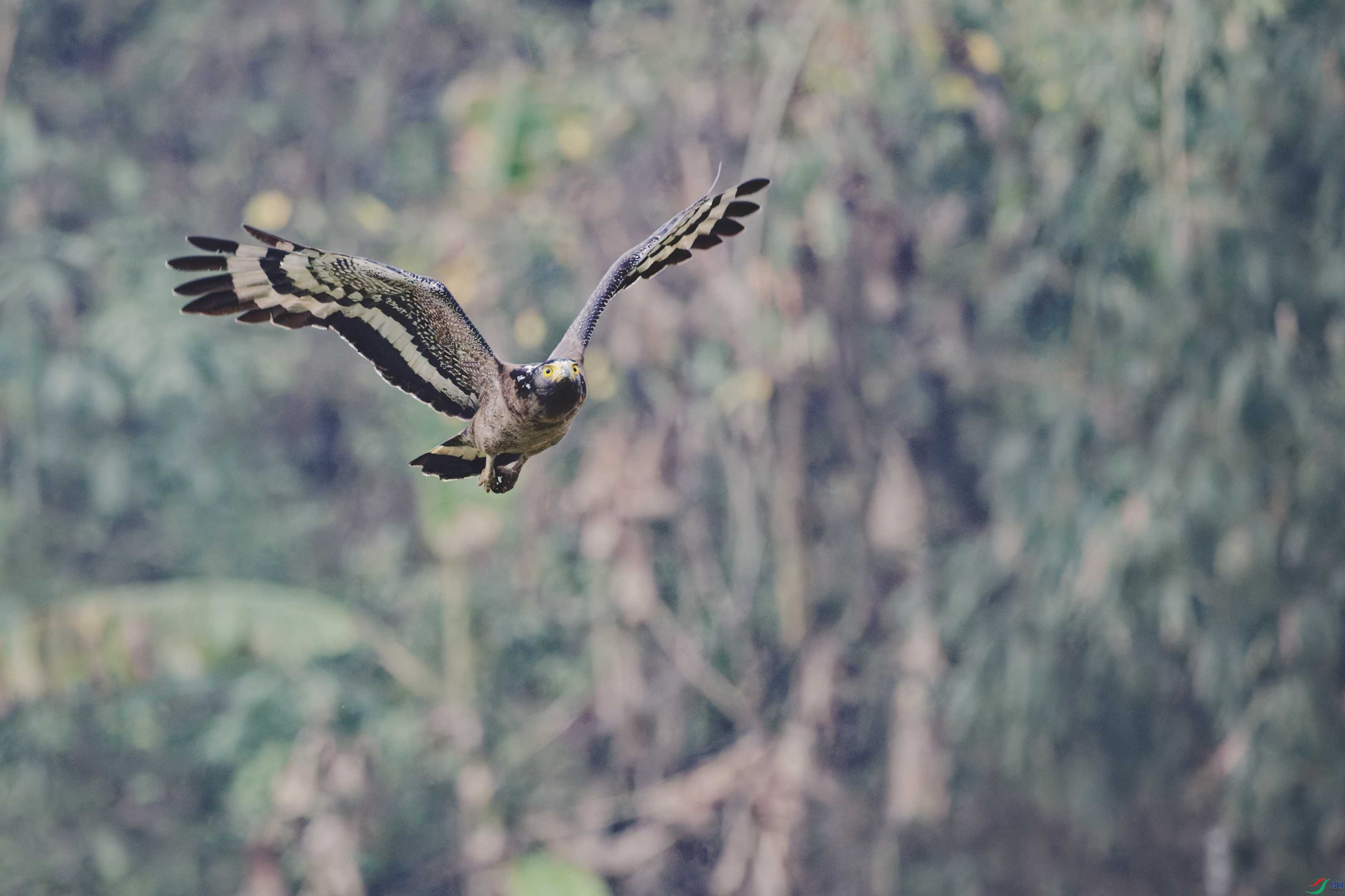 _DSC5007_DxO_DxO.jpg
