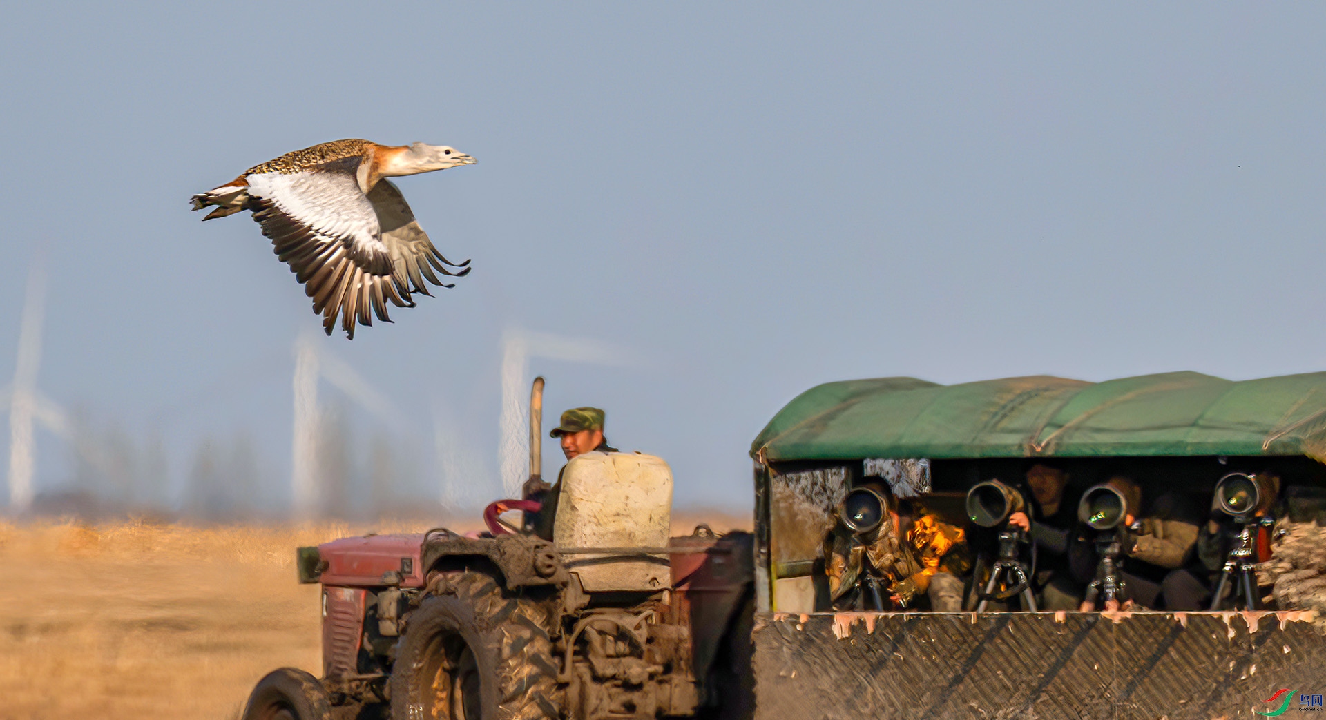 060A5940 ����-Sha---1 .jpg