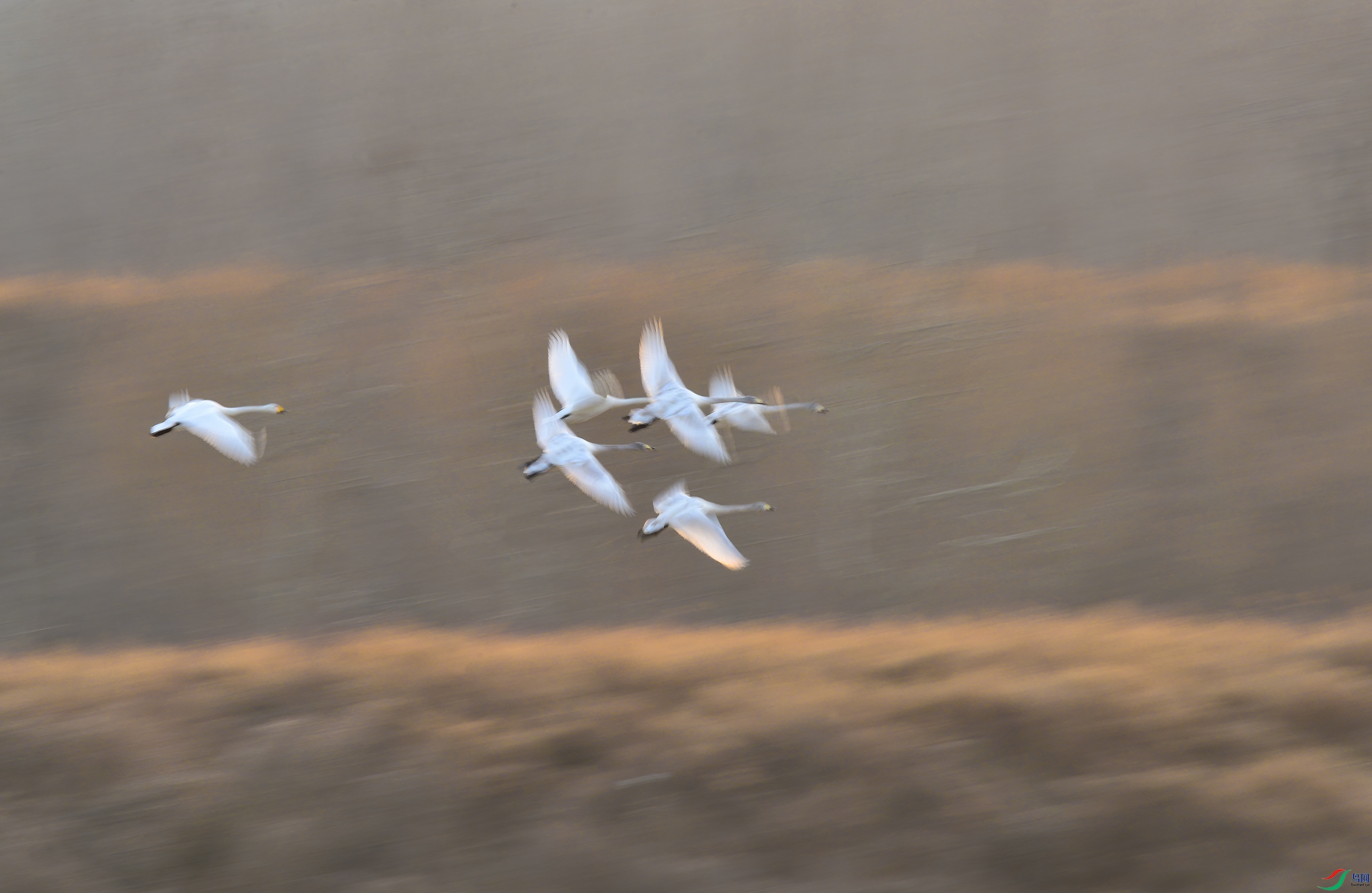 DSC_94351.jpg