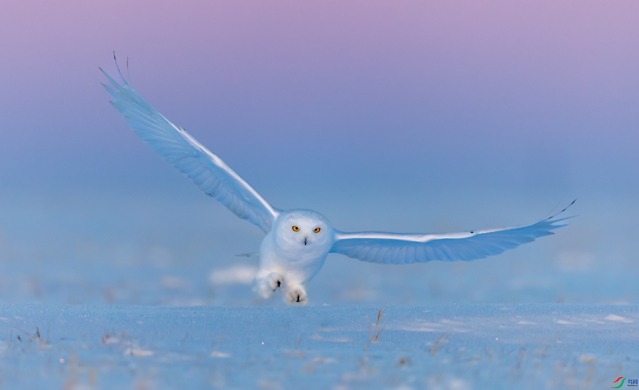 034A3500.jpg