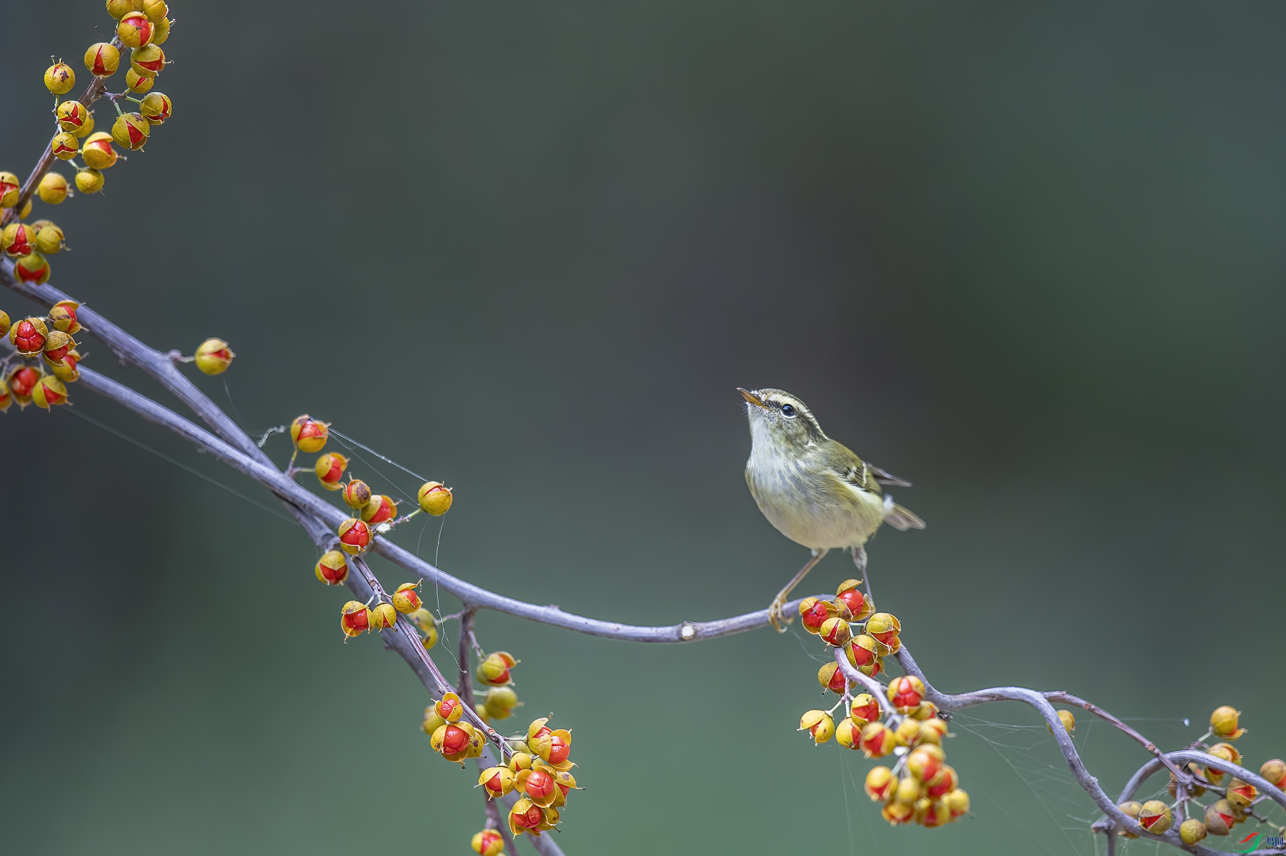 AC3I8904 ����.jpg