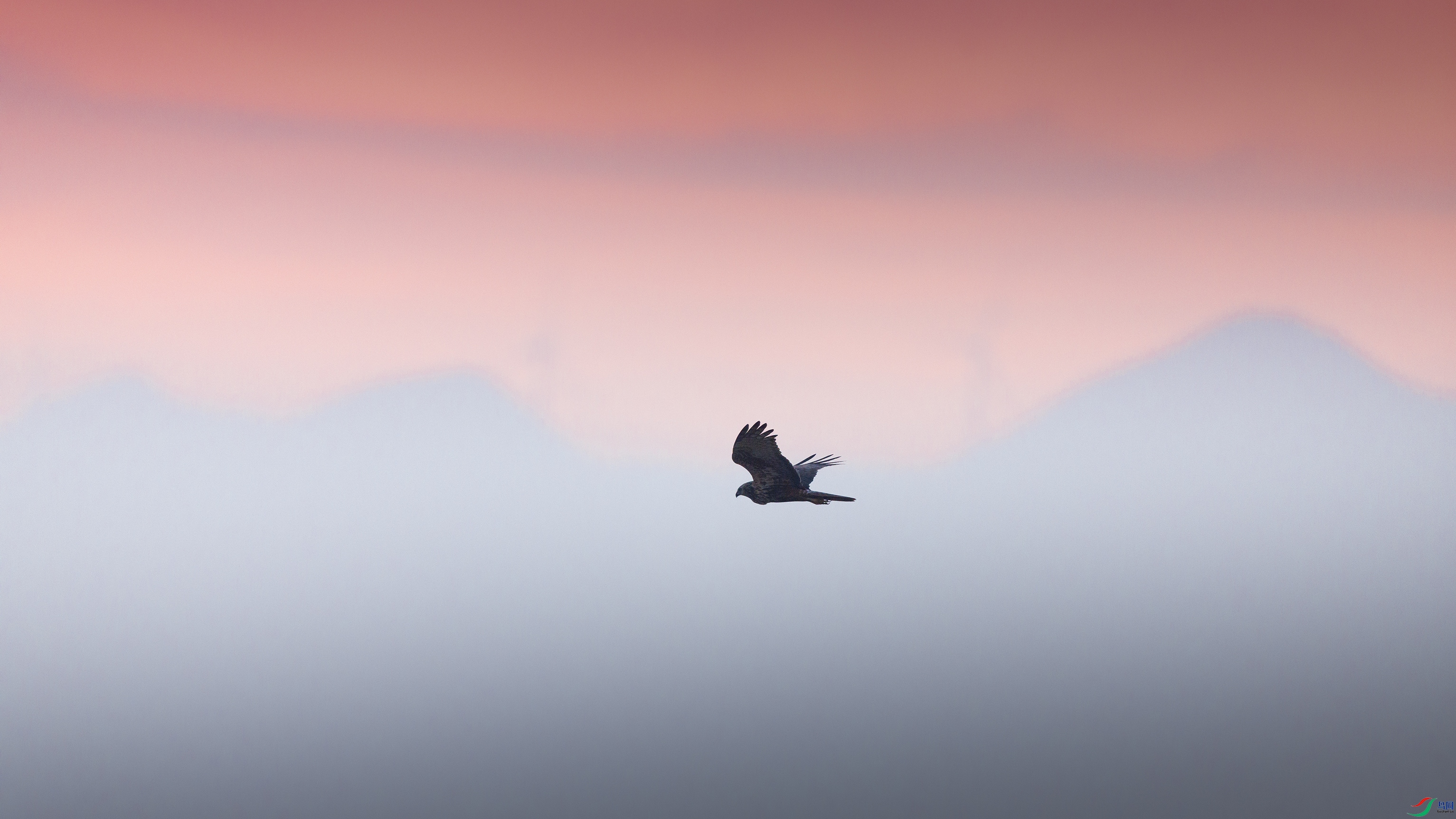 _O7A3561444.jpg