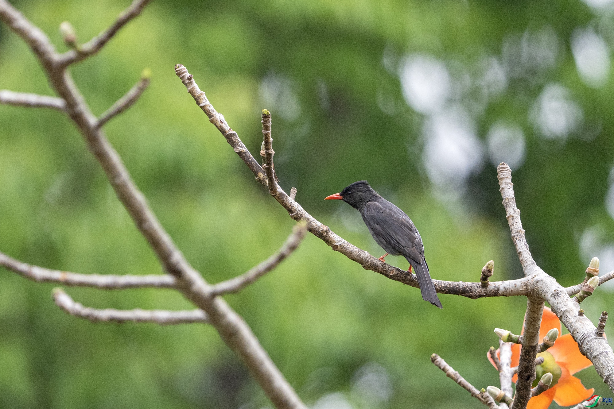 DSC_0975.jpg