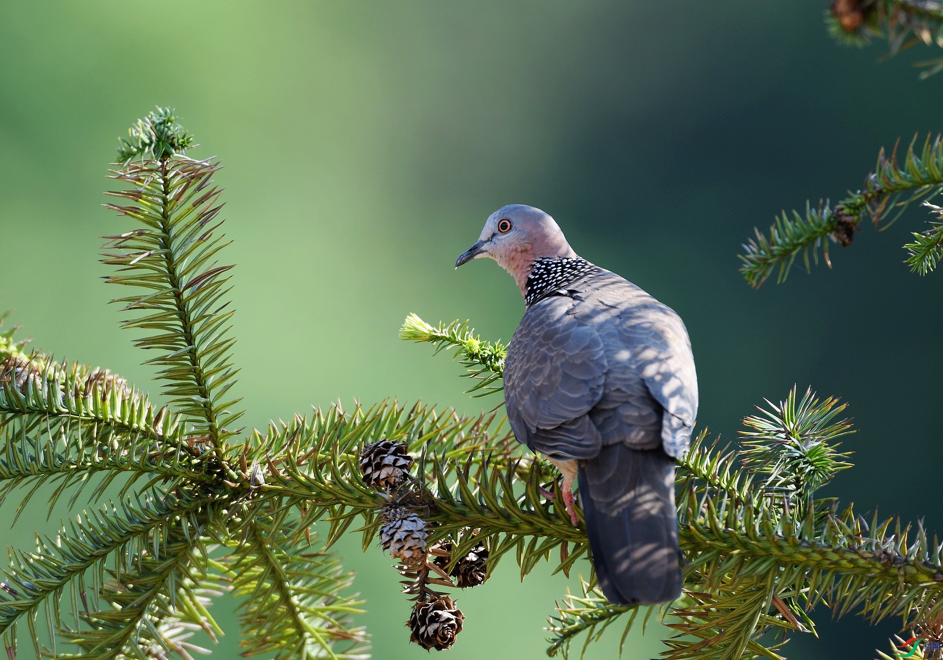 DSC_3260.jpg