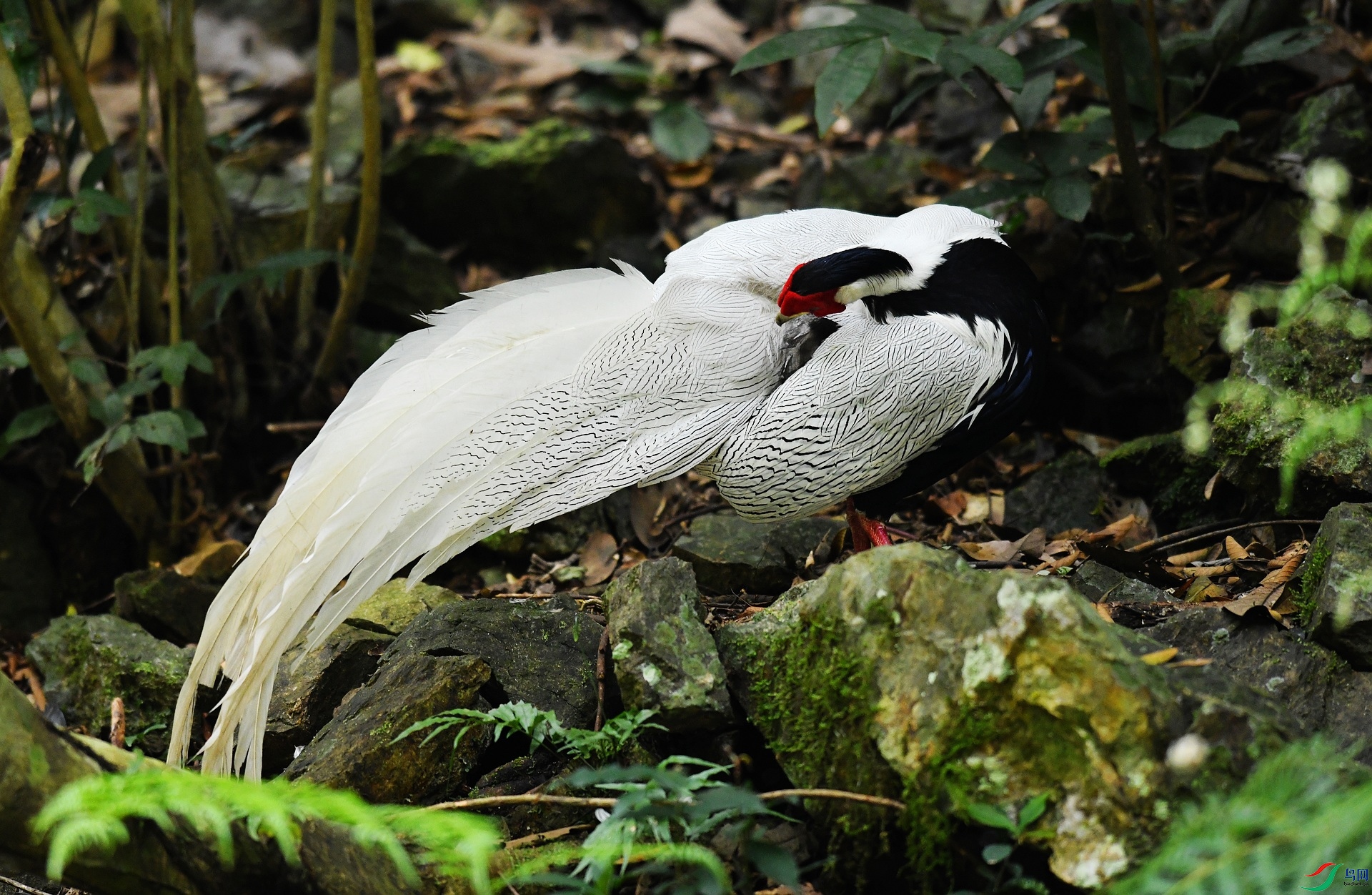 DSC_5260.jpg