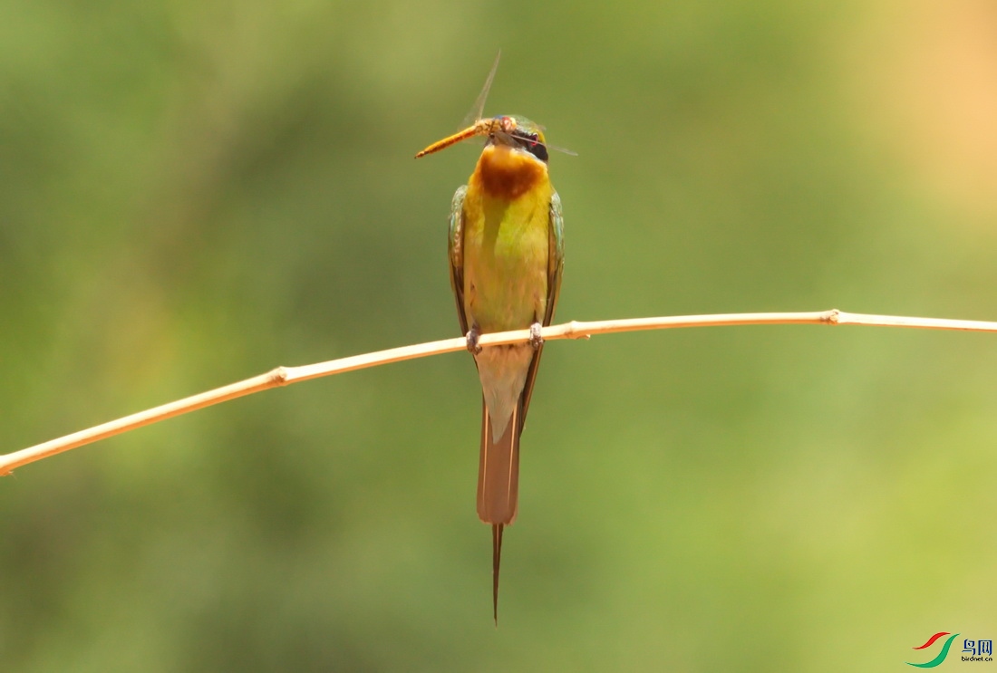 _DSC0001 (1)zz_������С.jpg